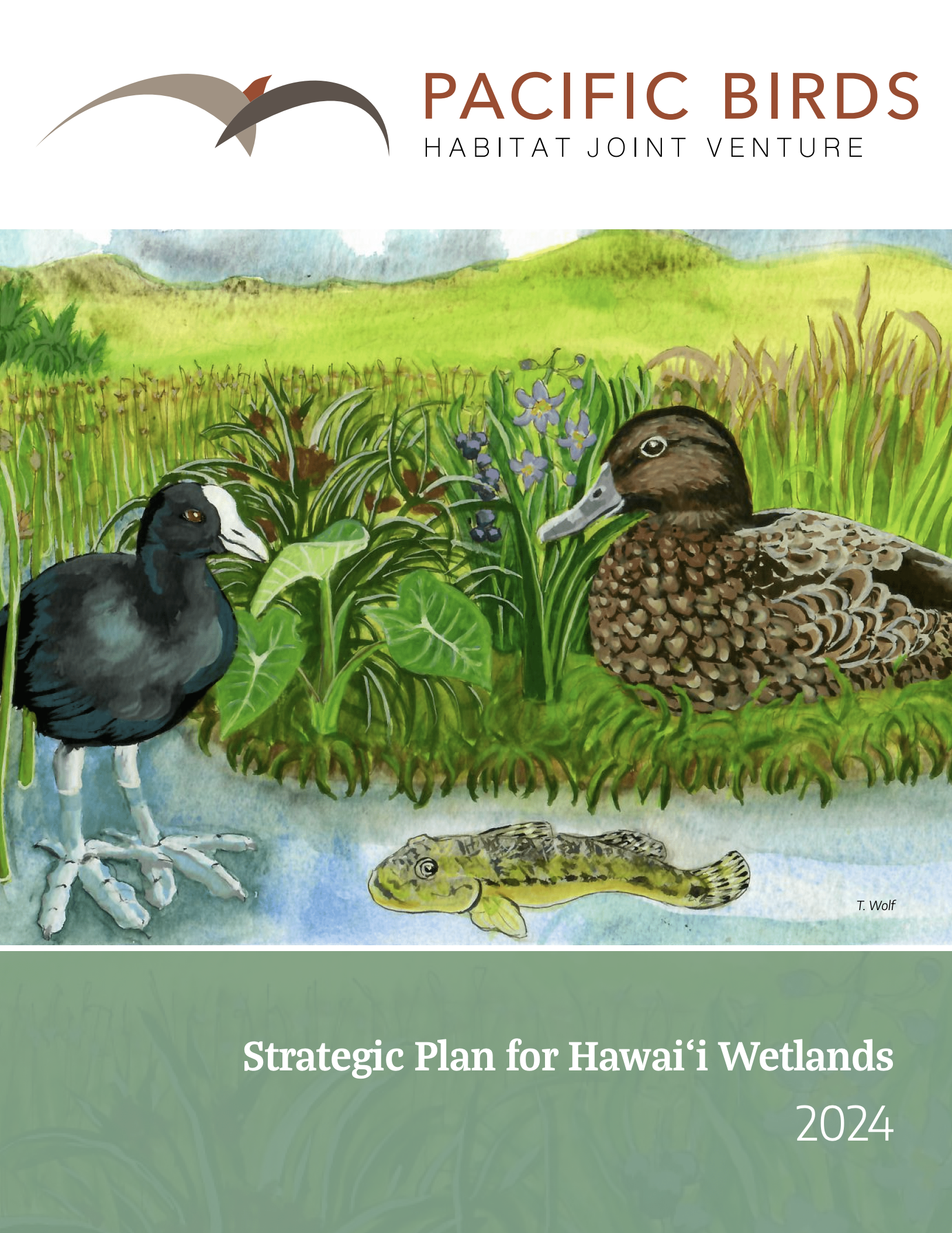 Watercolor illustration of wetland habitat with two birds, one duck and one coot, among lush green plants and a yellow fish, with hills in the background, and text that reads "Strategic Plan for Hawaiʻi Wetlands 2024".
