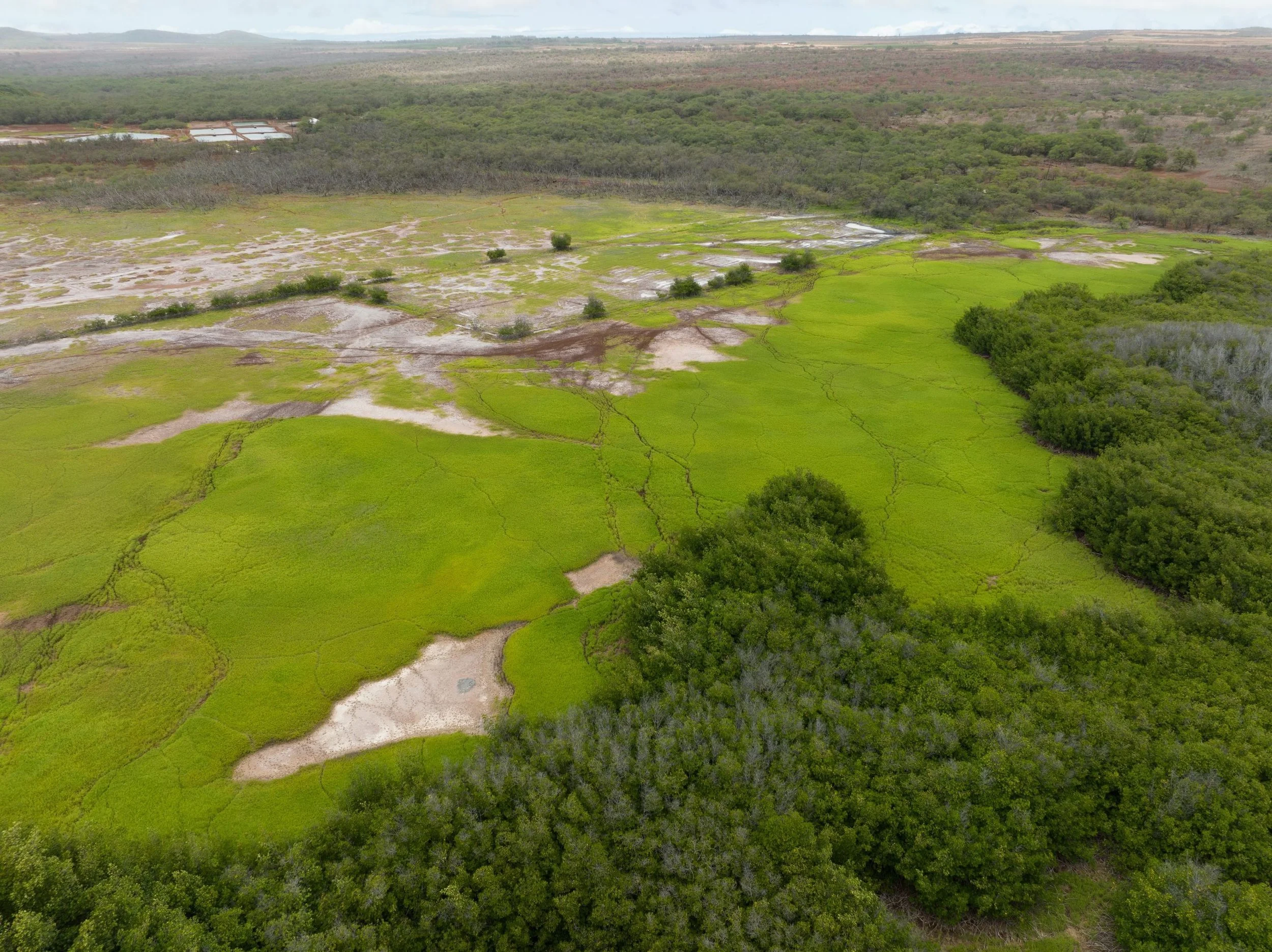 Aerial view of a landscape with green fields, patches of dry earth, and a dense forest in the background under a cloudy sky.