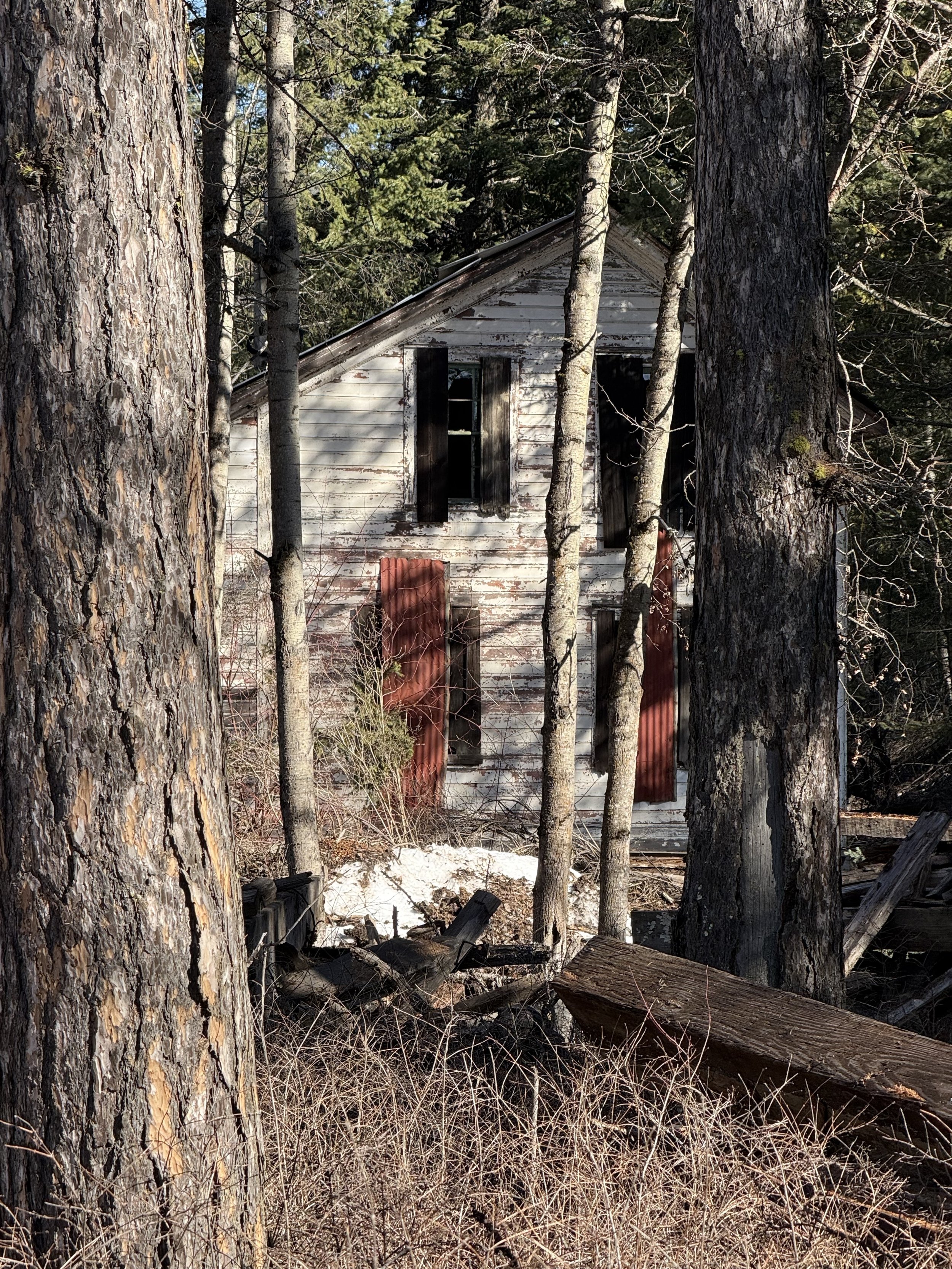 Set Photo 6.jpg