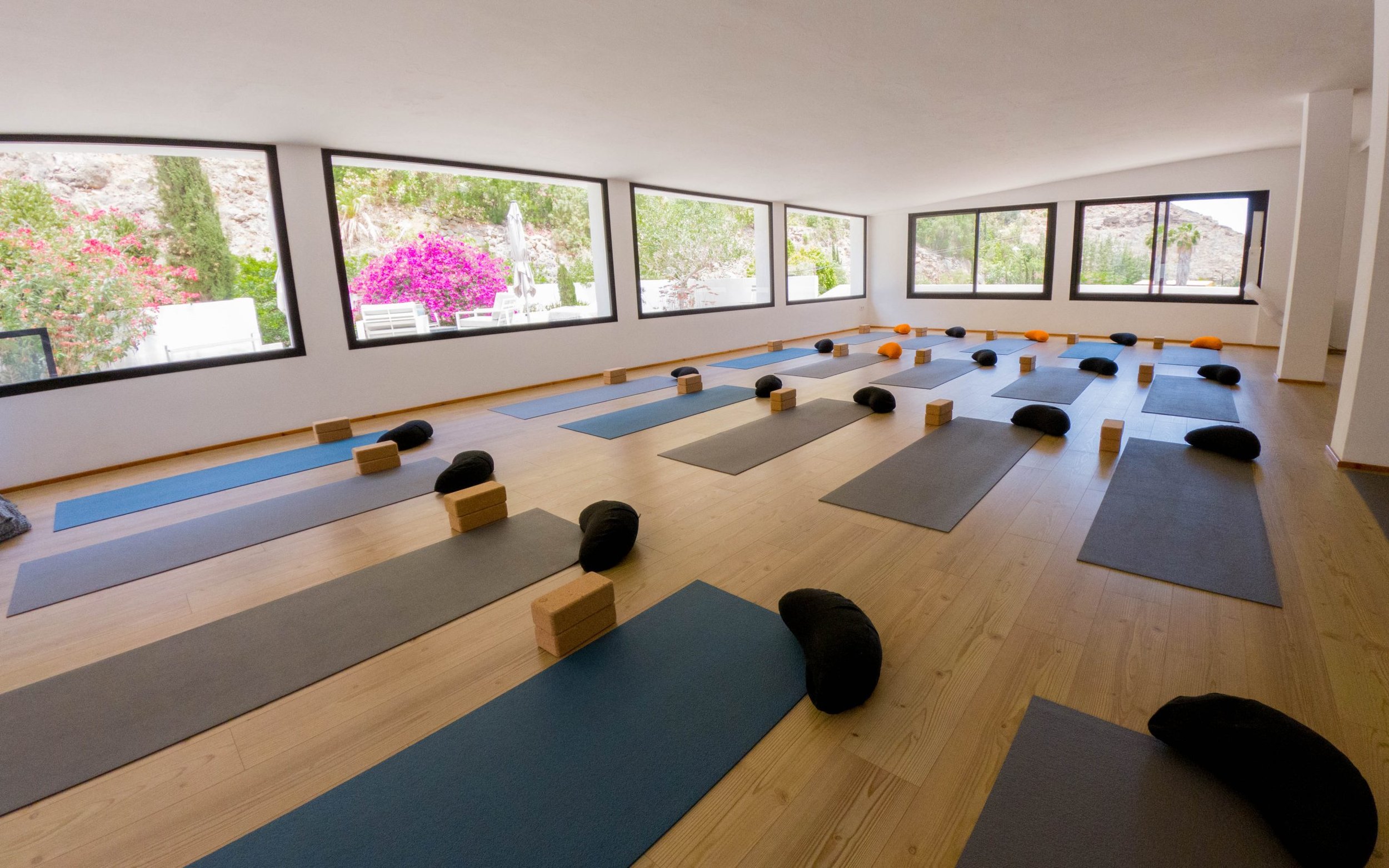 Spacious room with wooden flooring, large windows offering a scenic view, and potted plants along the edges.