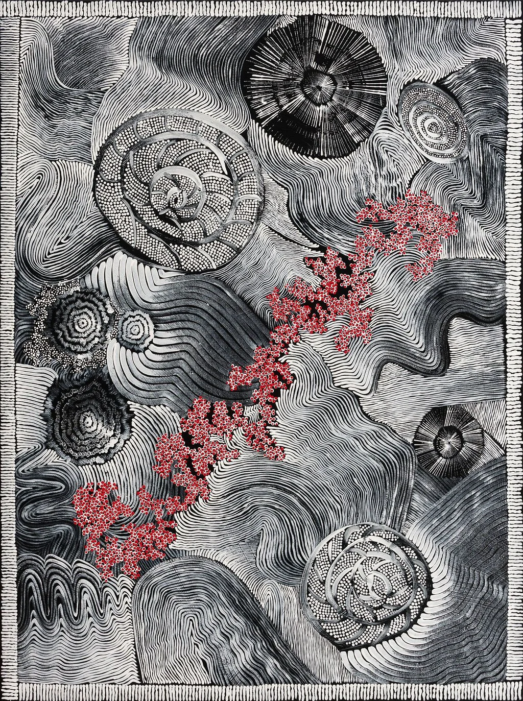 Stella