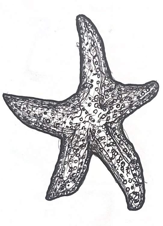 Image (52).jpeg