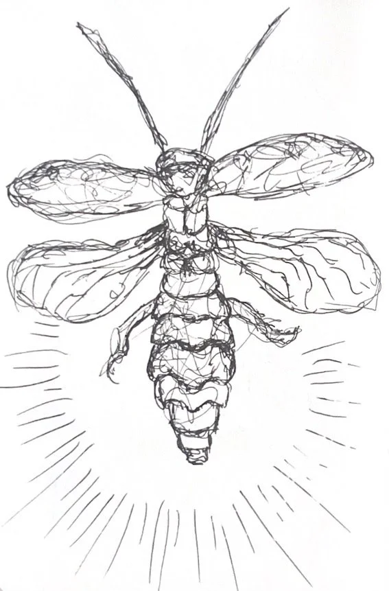 Image (54).jpeg
