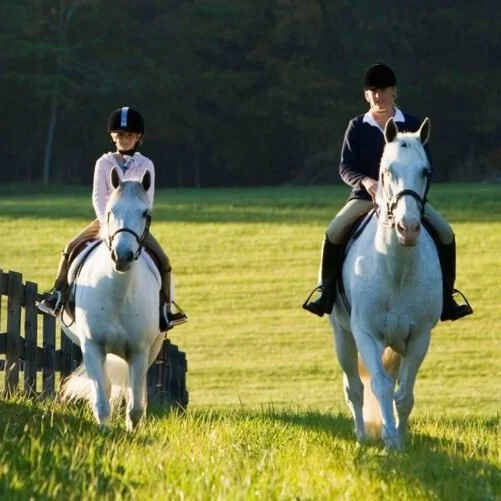 Two children riding white horses across a grassy field, with a wooden fence on the left and trees in the background.