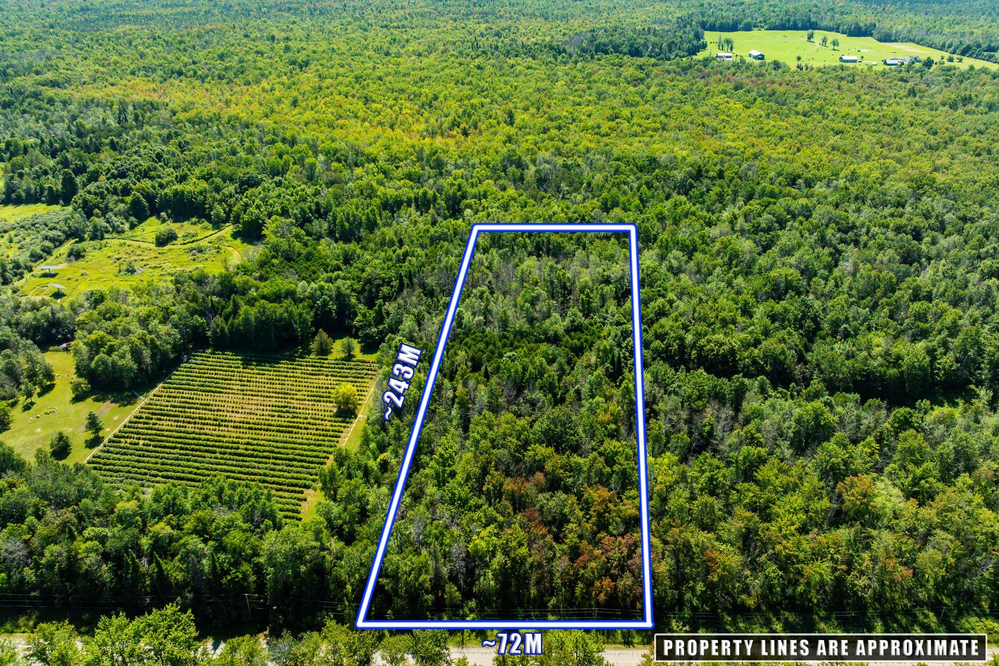 2613 Drummond - LOT_0001.jpg
