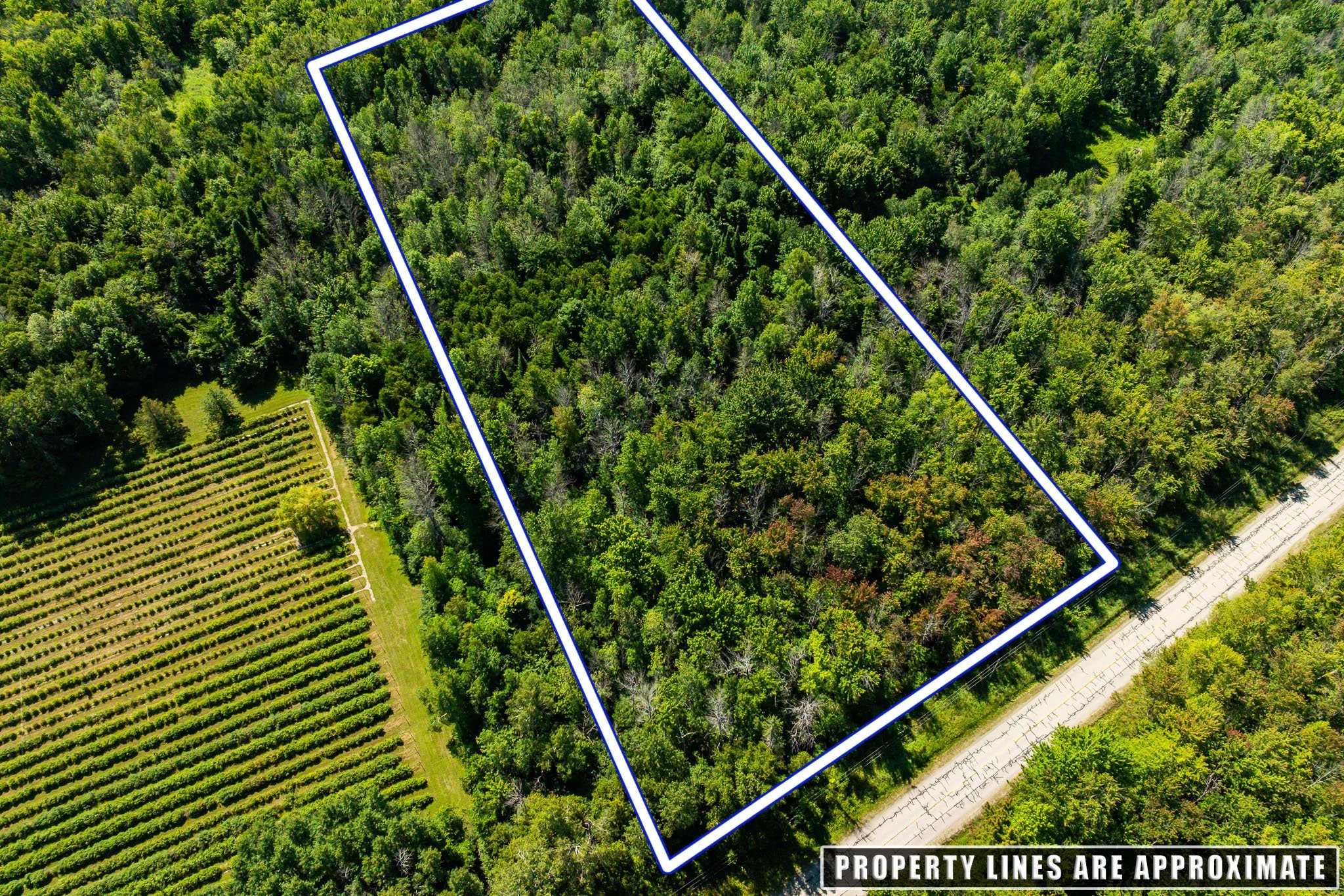 2613 Drummond - LOT_0004.jpg