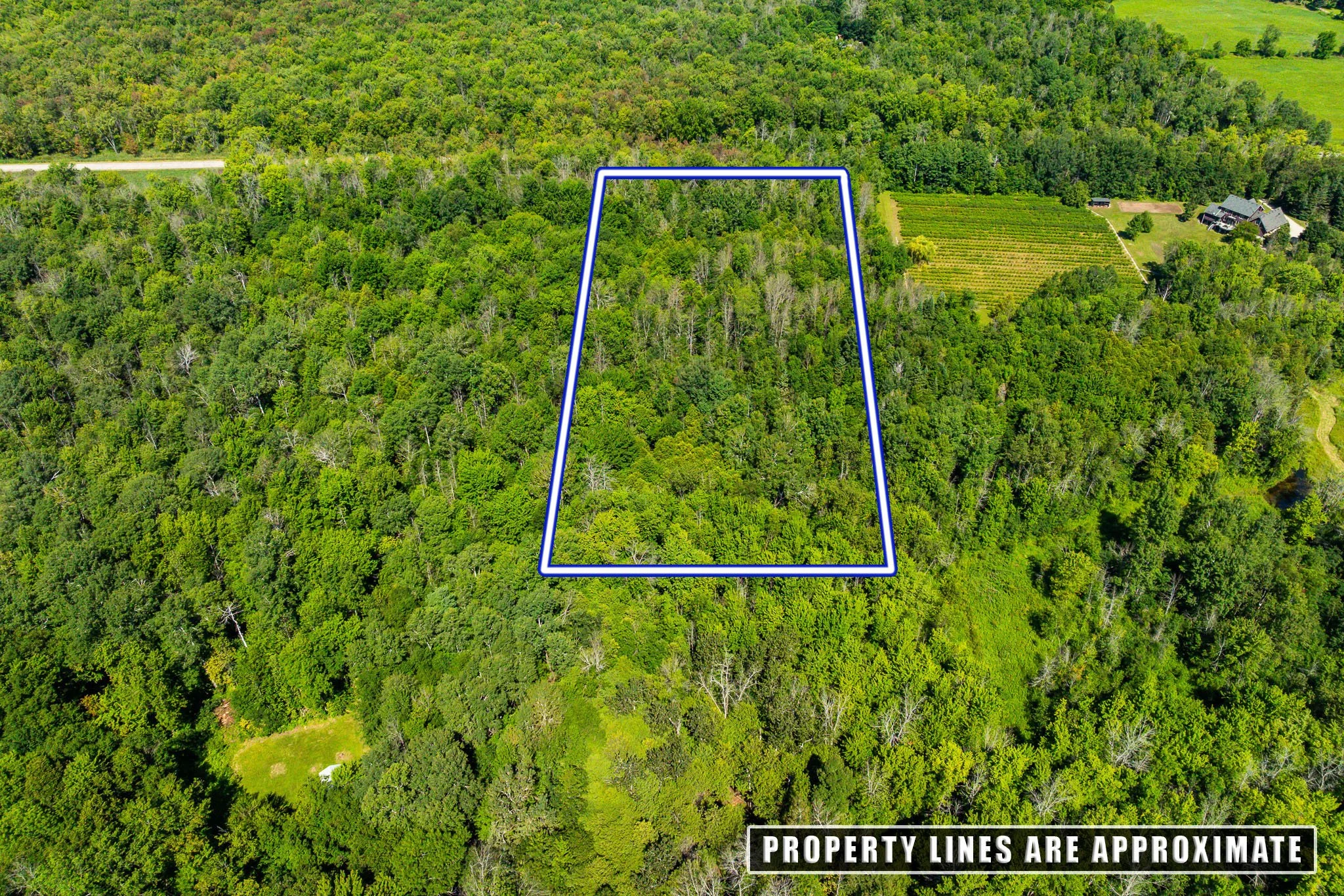2613 Drummond - LOT_0007.jpg