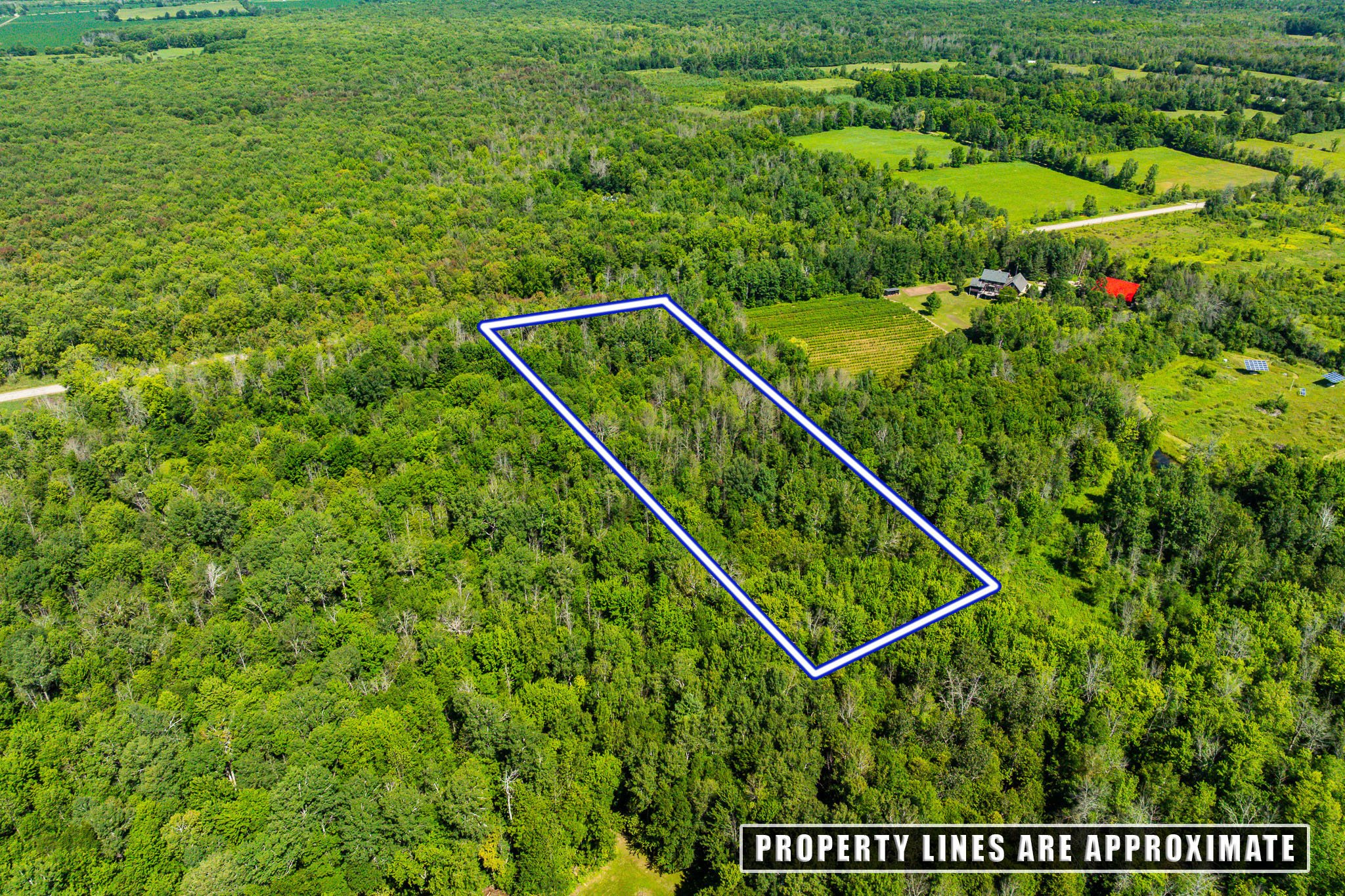 2613 Drummond - LOT_0008.jpg