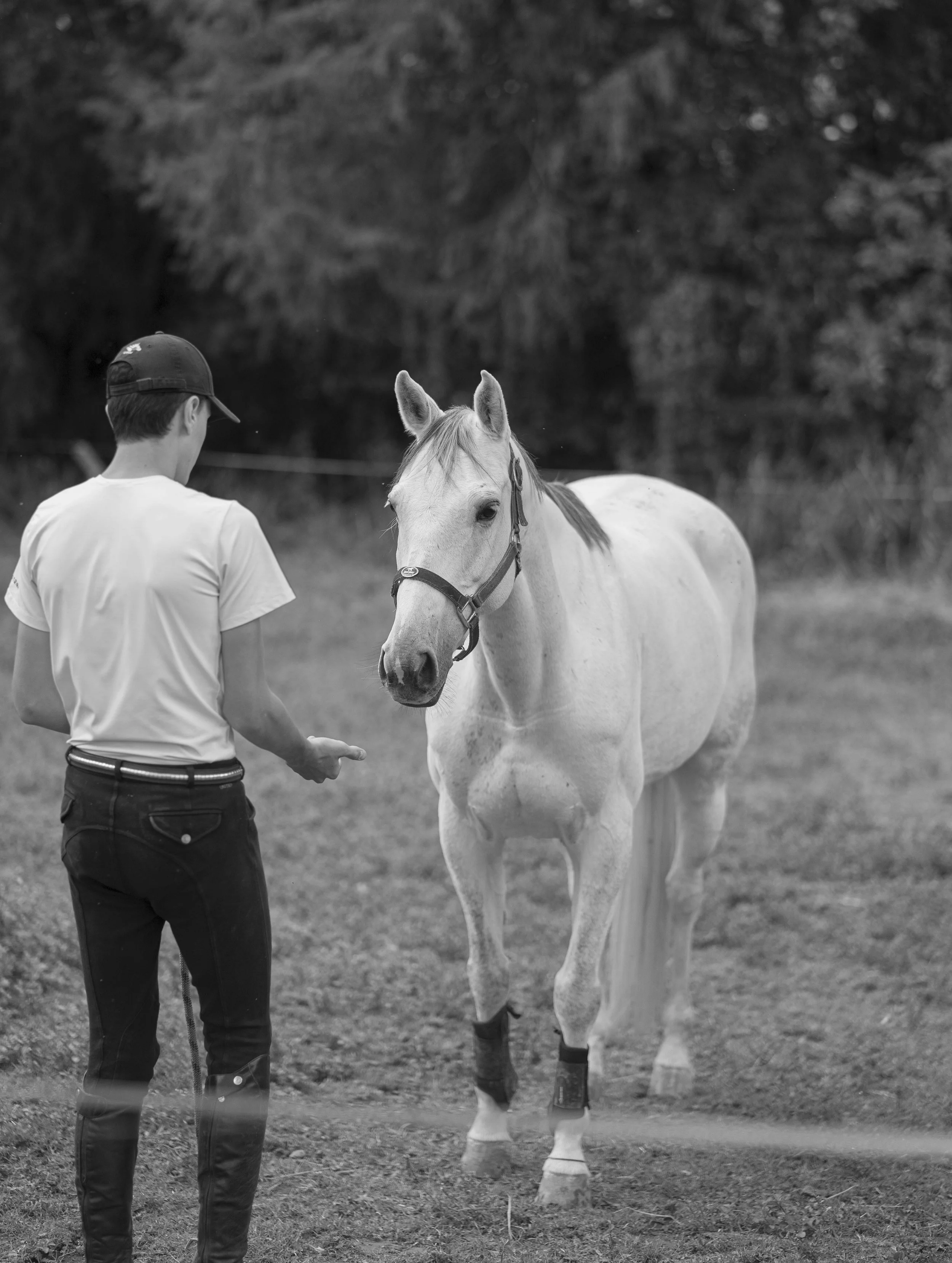 Custom Leadership Program