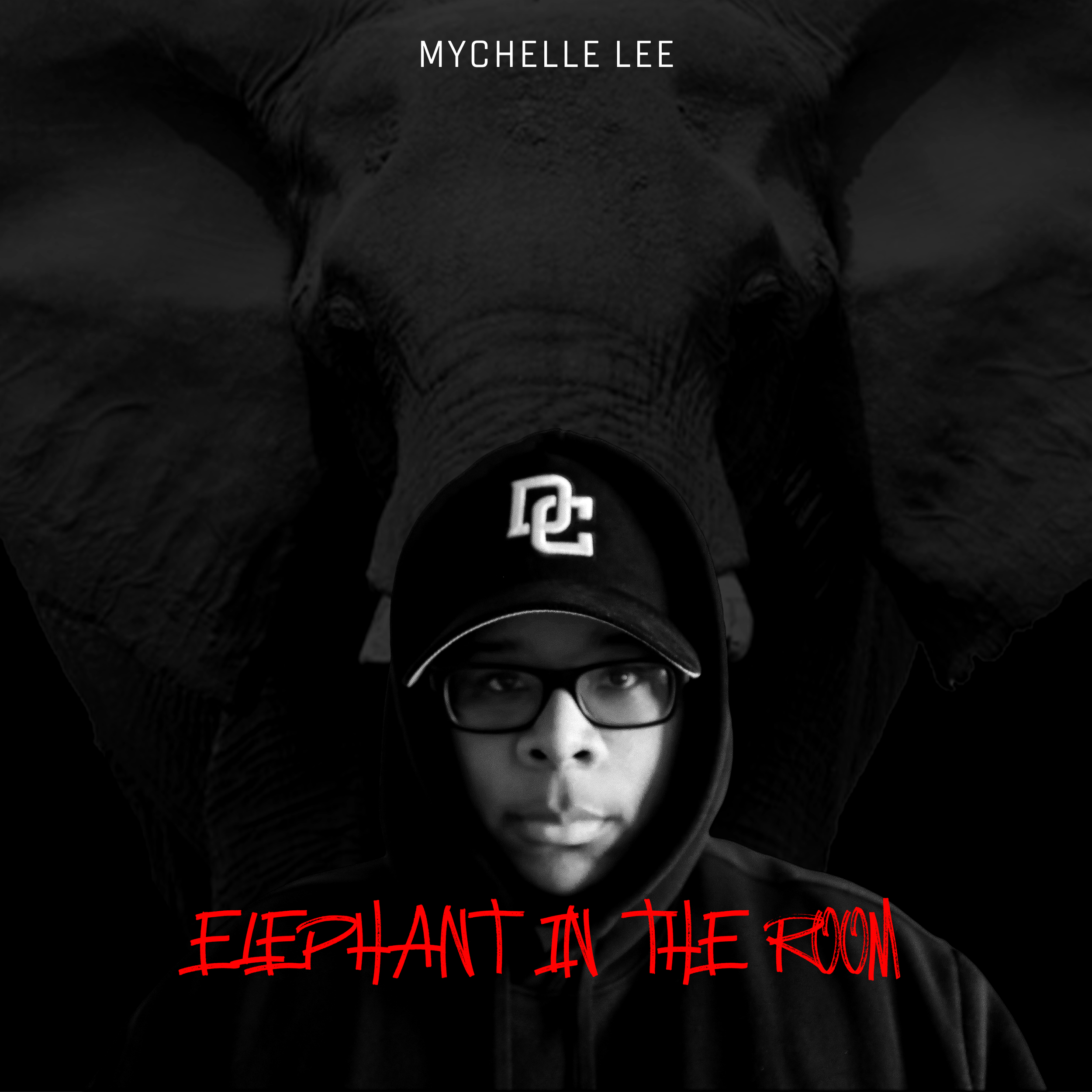 Mychelle Lee - Elephant in the Room Single