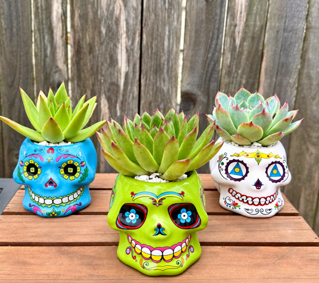 Calavera Green Blue and White.png