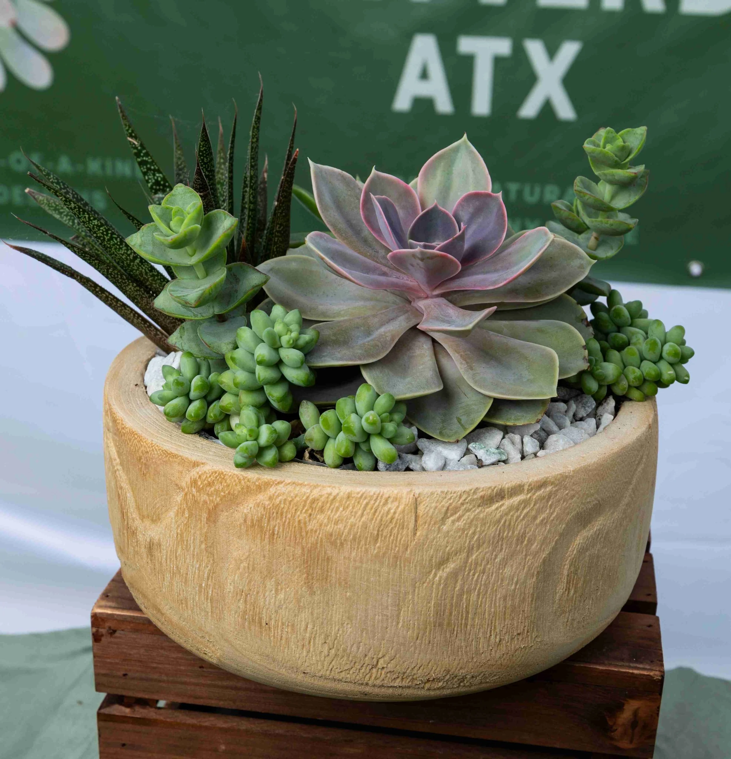 Close-up of a round wooden planter with various small succulent plants, sitting on a wooden surface with a green background.