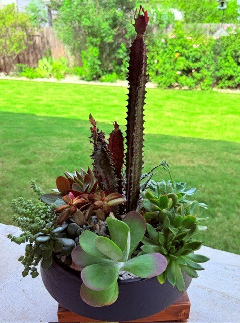 12 inches black ceramic container -Fathers day.jpg