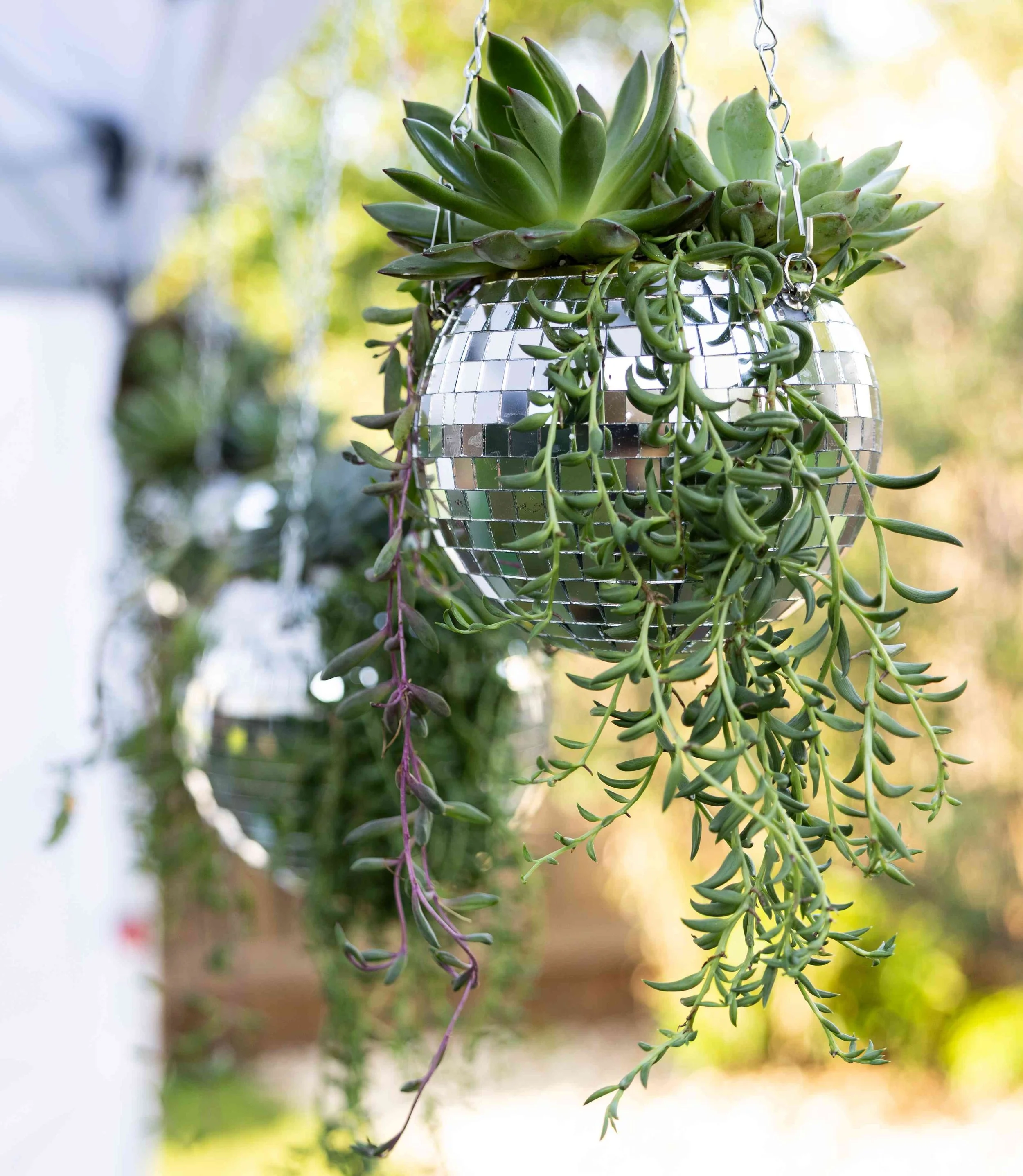 Hanging disco ball with various green succulent plants cascading down from it, outdoors with blurred background.