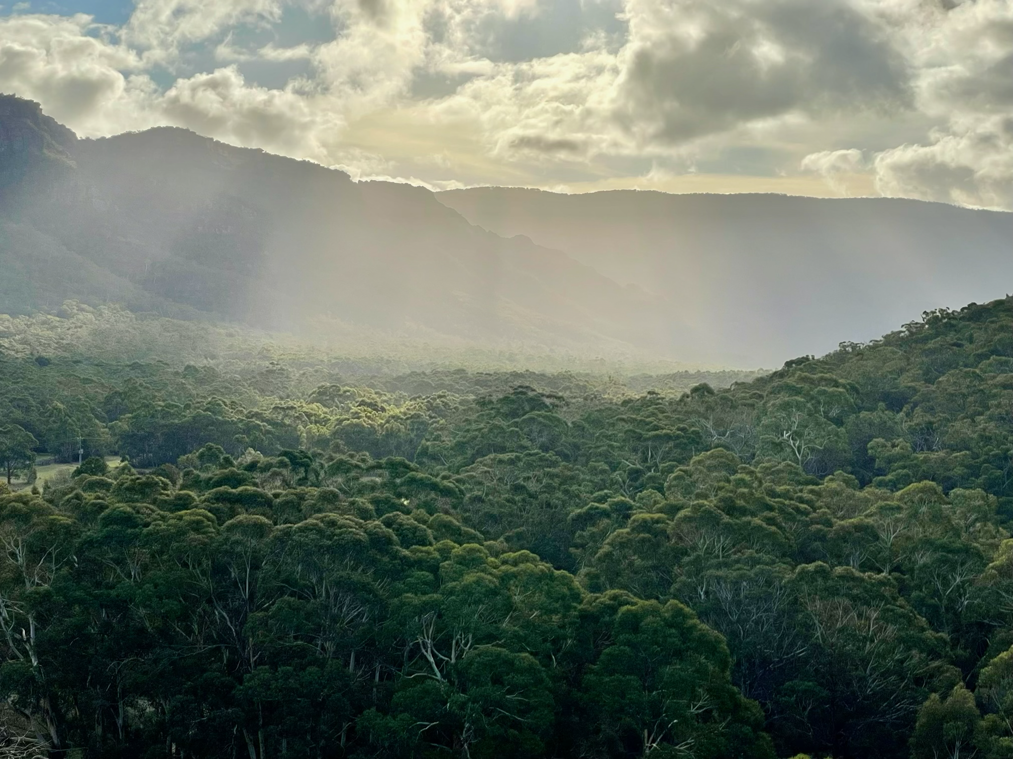 A lush green forest with rolling hills in the distance under a partly cloudy sky, with sunlight breaking through the clouds.
