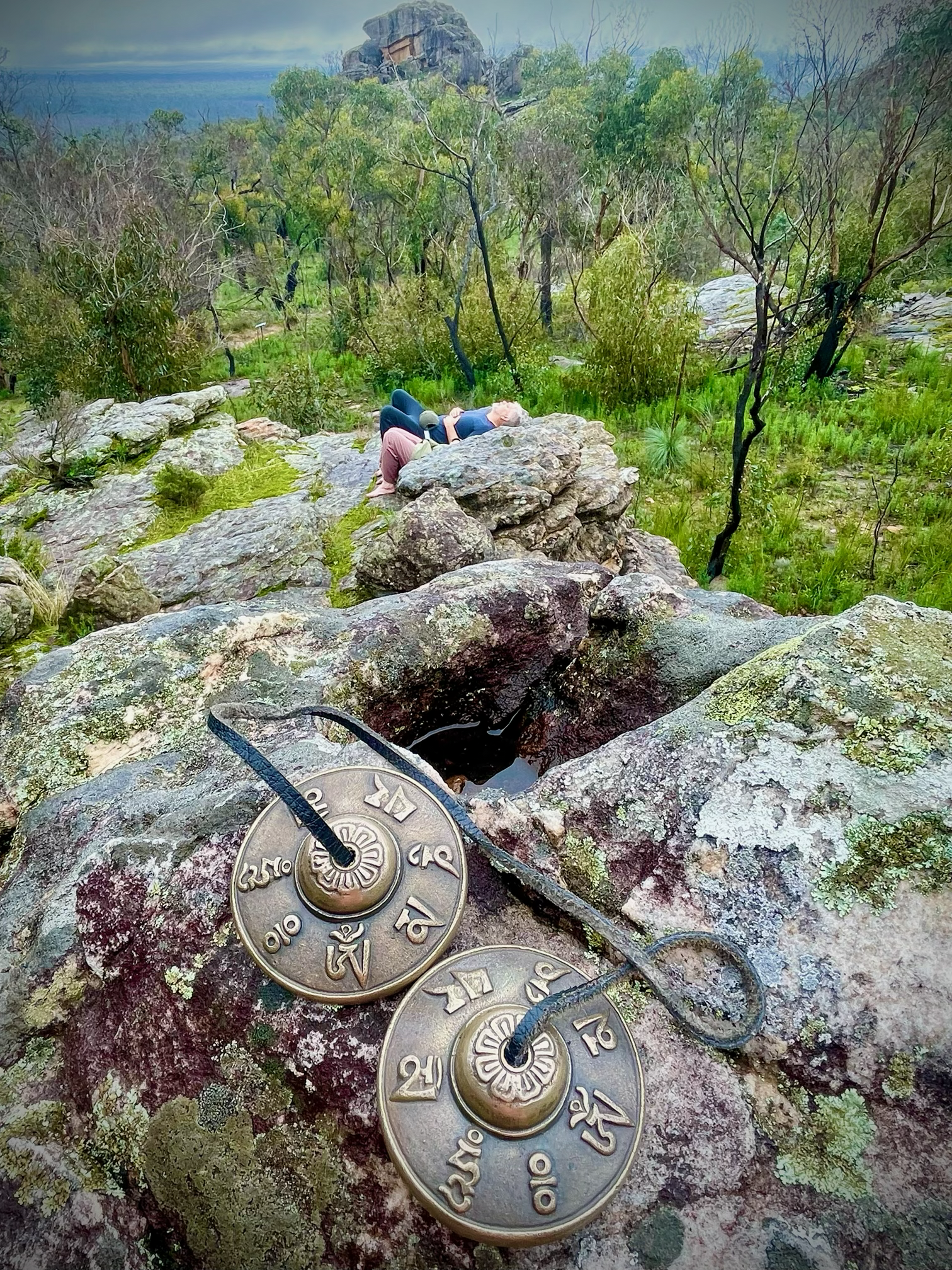 Coins of Thai currency placed on moss-covered rocks with a scenic forest in the background