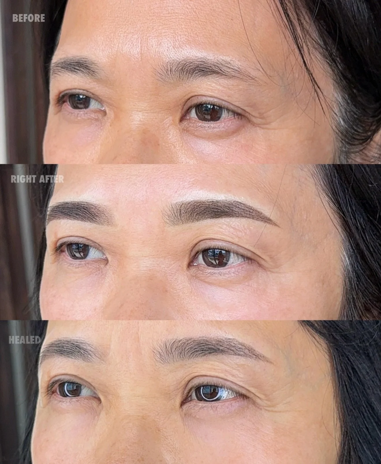 Can you believe these are tattooed? 🤭

Powder eyebrows last 2-4+ years depending on skin type and lifestyle. We gave her a a beautiful face lift while still following what she naturally has. At her touch up we only worked on a spot on front to fill 