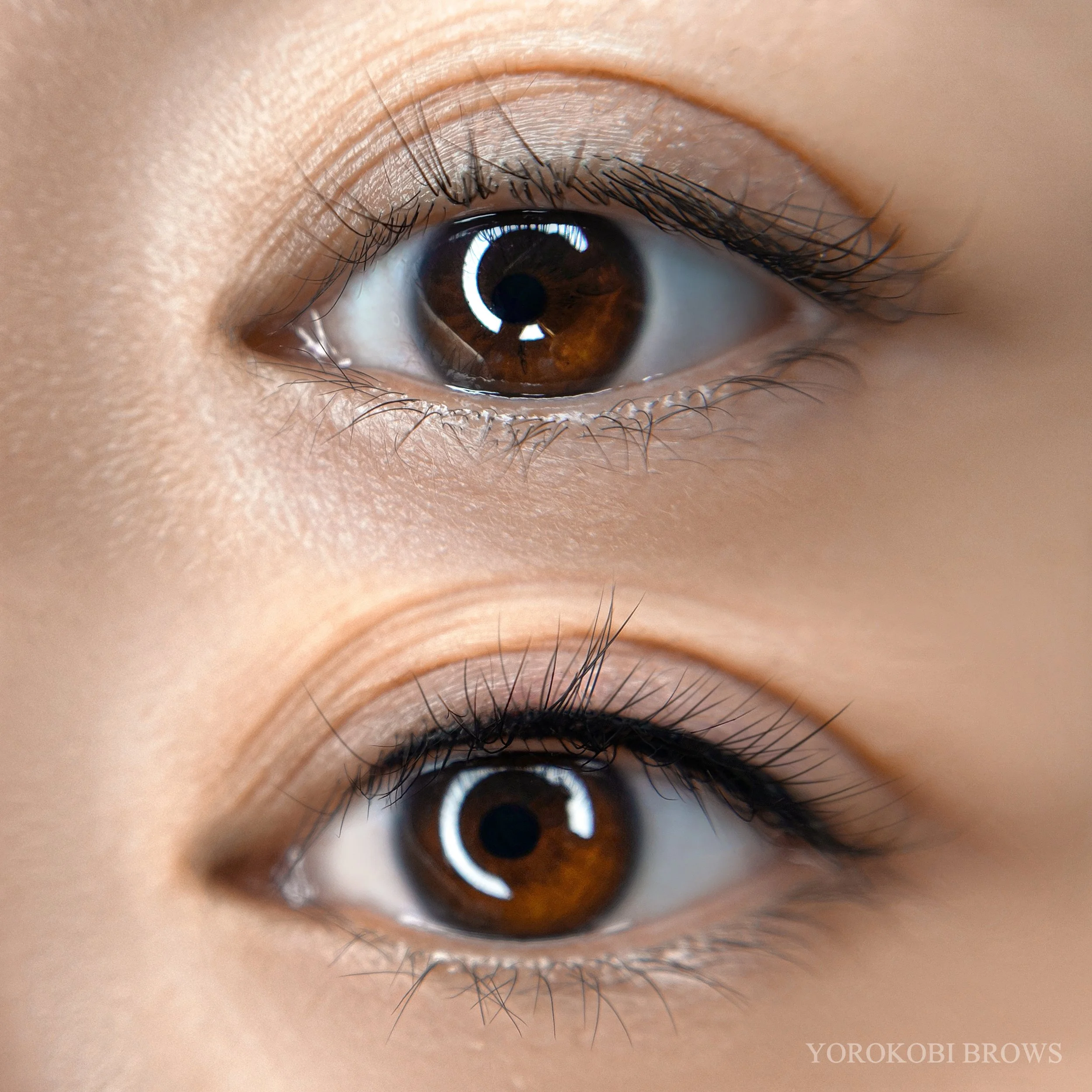 Lash Line Enhancement