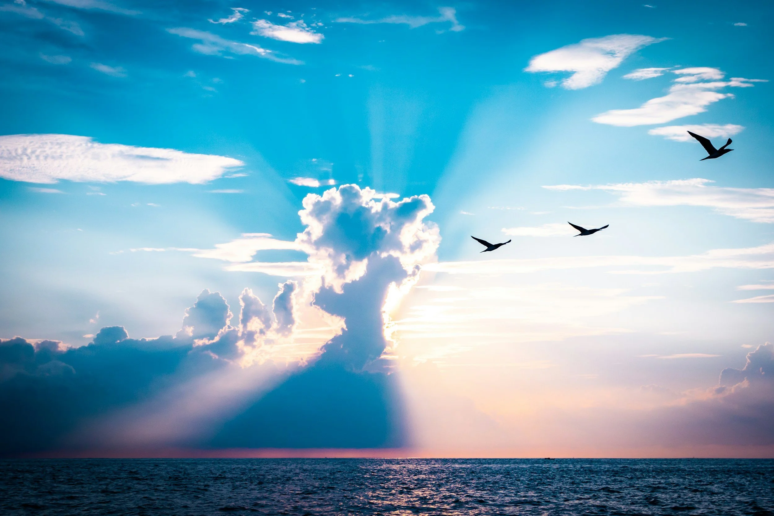 Ascension Sunday: the Binding of Heaven and Earth