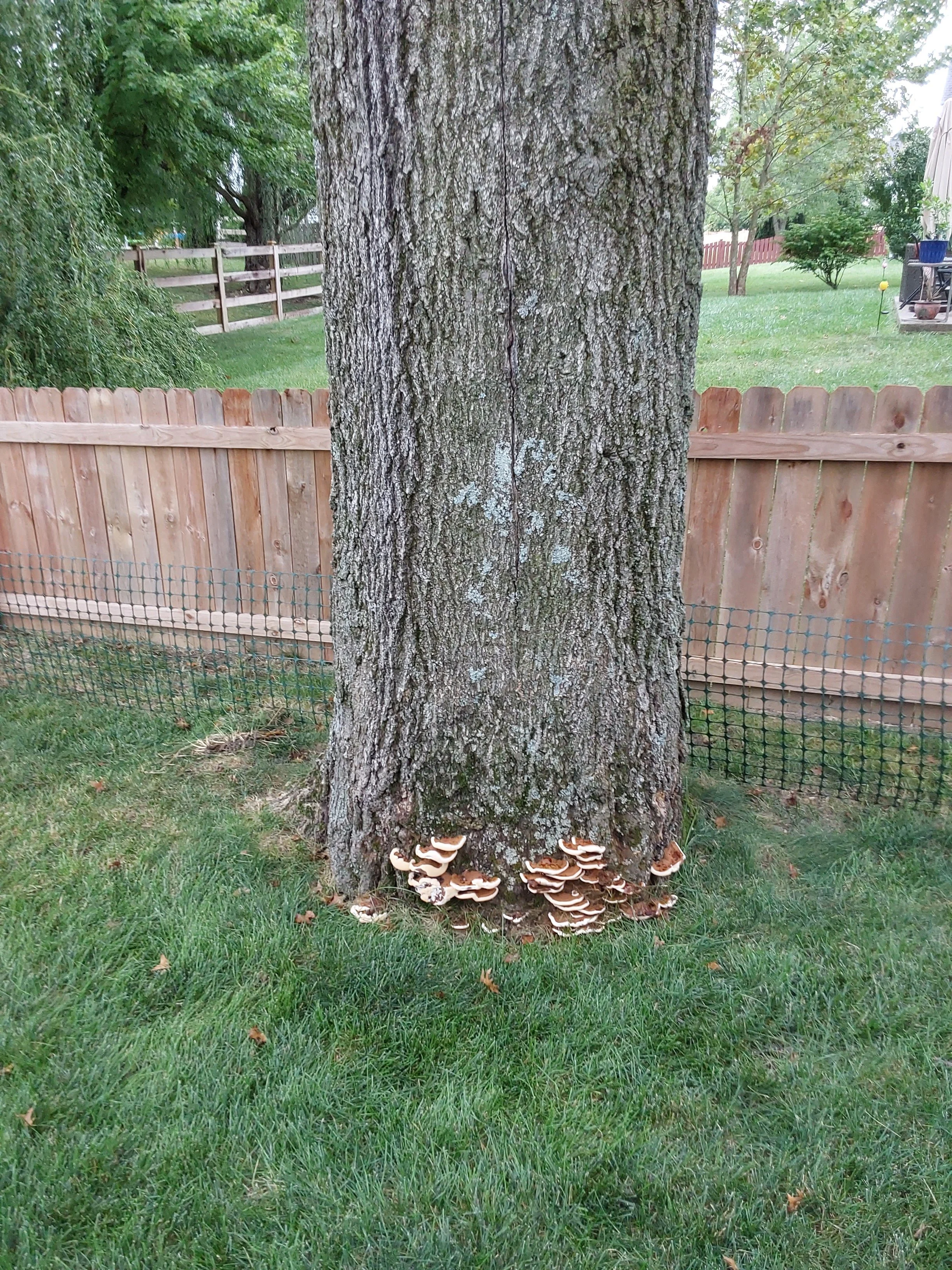 20230912_095405.jpg