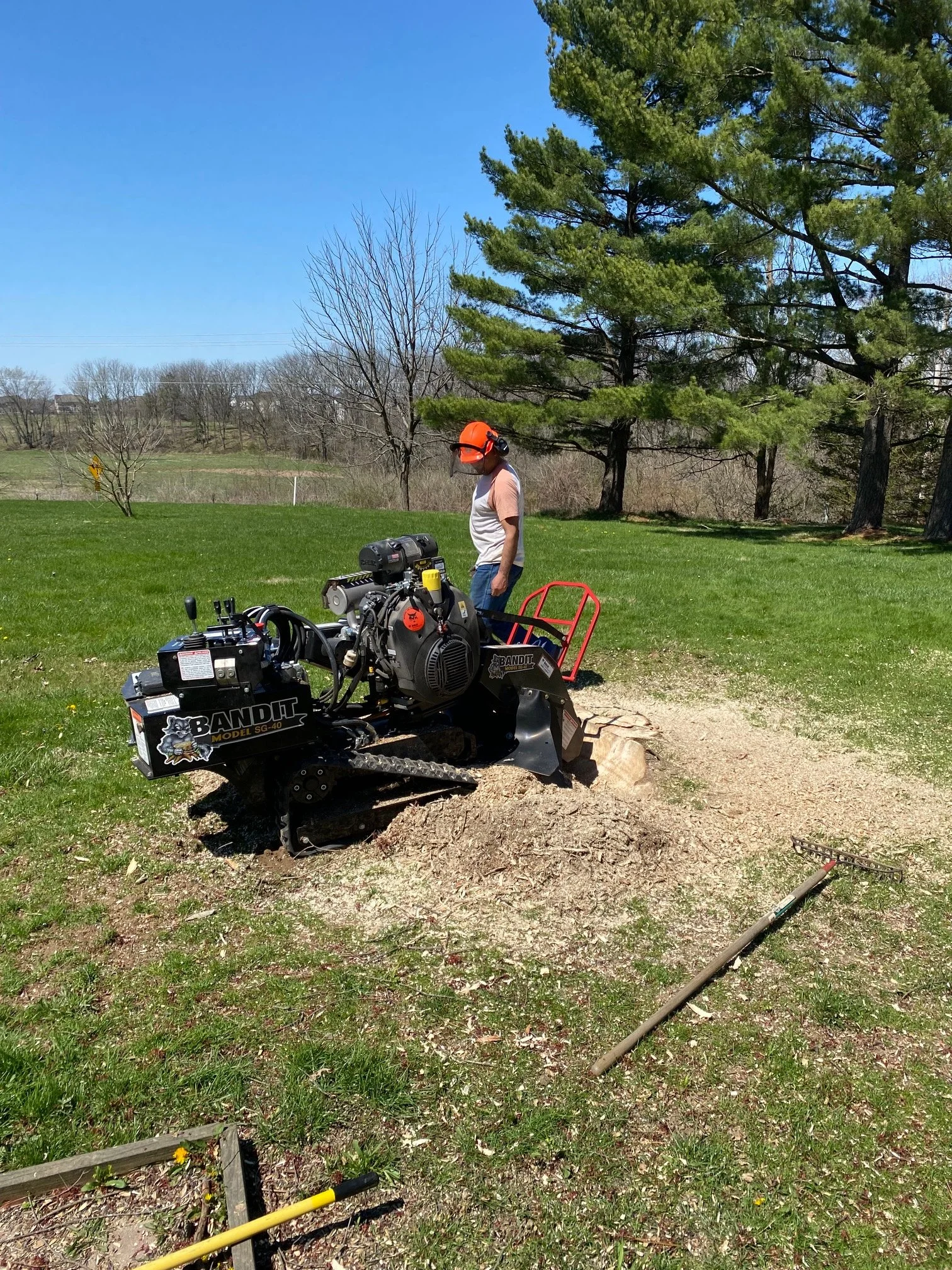 Stump Grinding 01.jpg