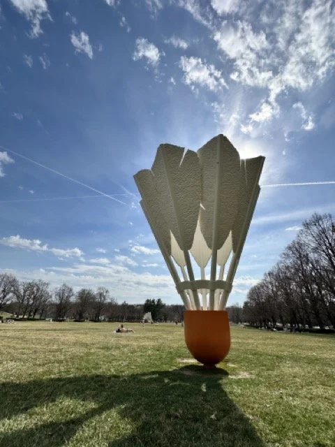 IMG_0052 Medium.jpeg