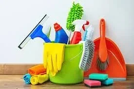 Basic House Cleaning