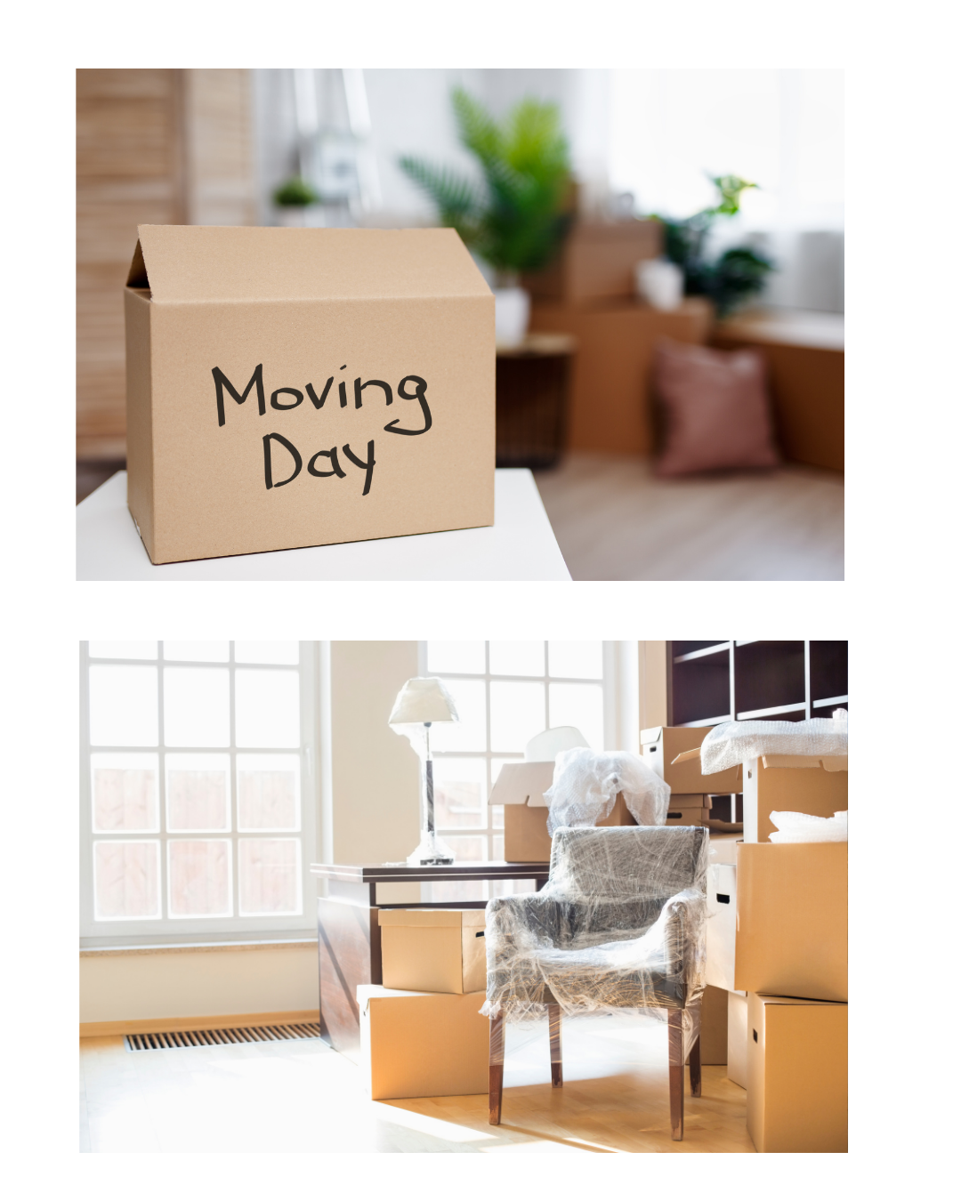 Life Transition Organization