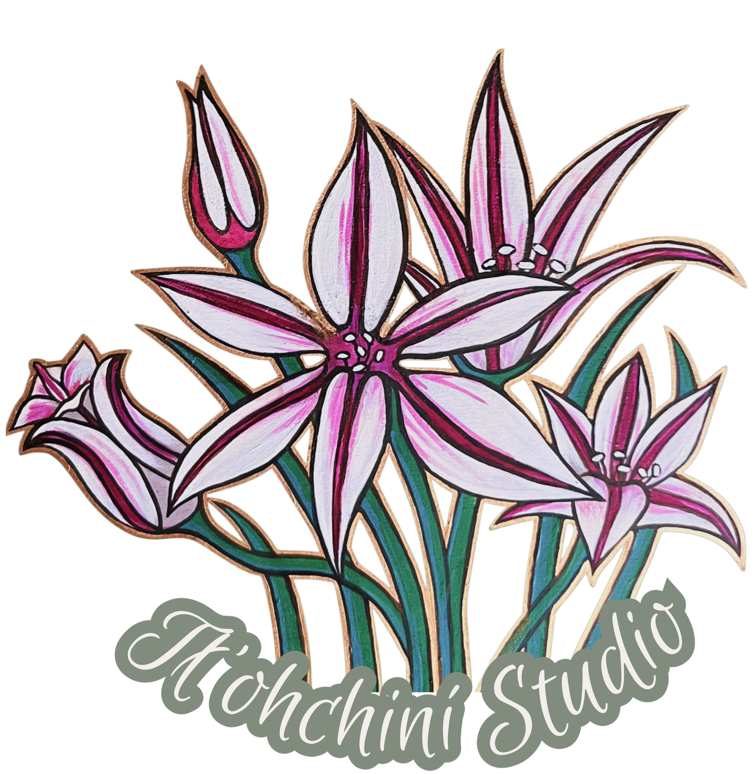 Wild Onion Studio