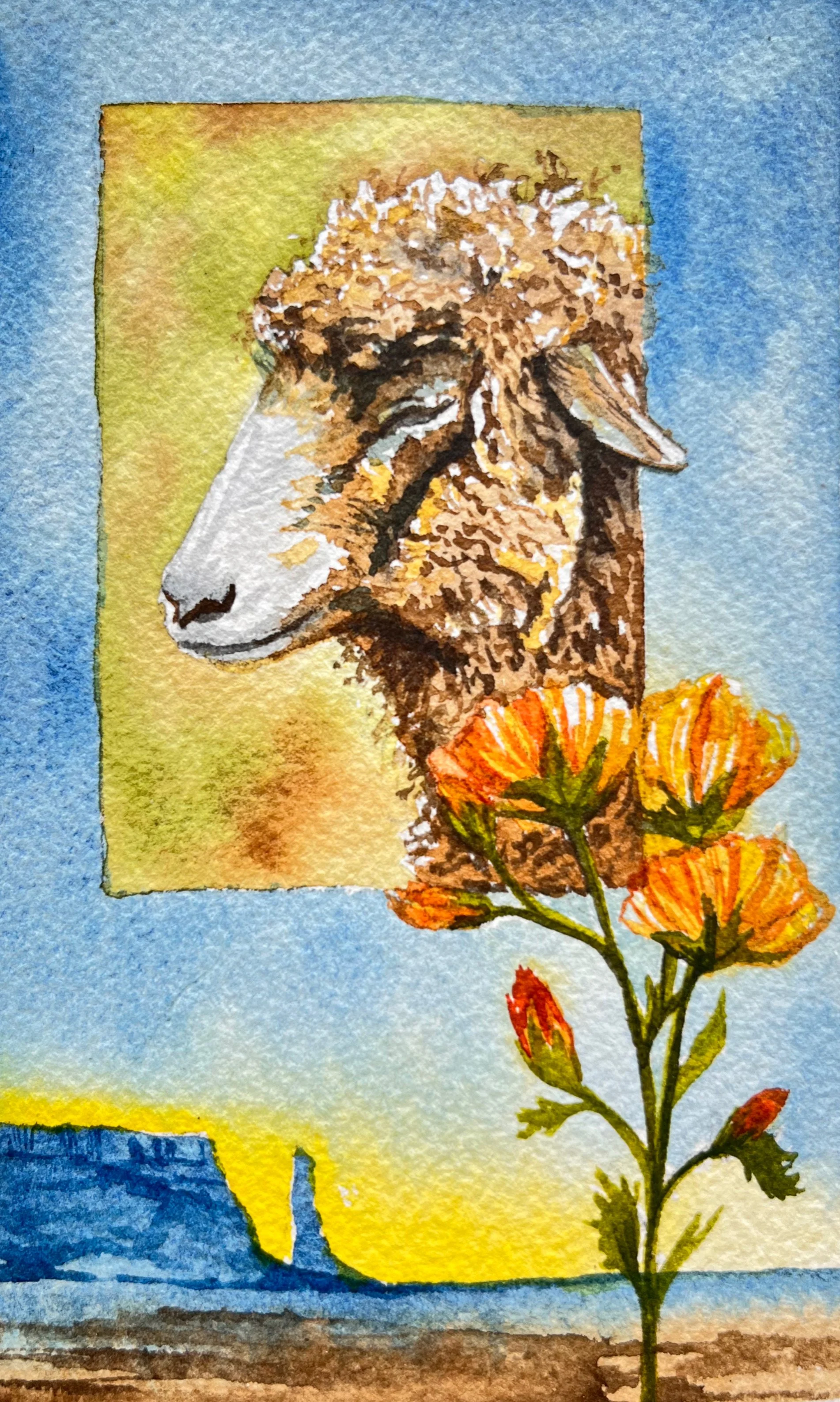 Natalya Nez_Sheep Globemallows.jpeg