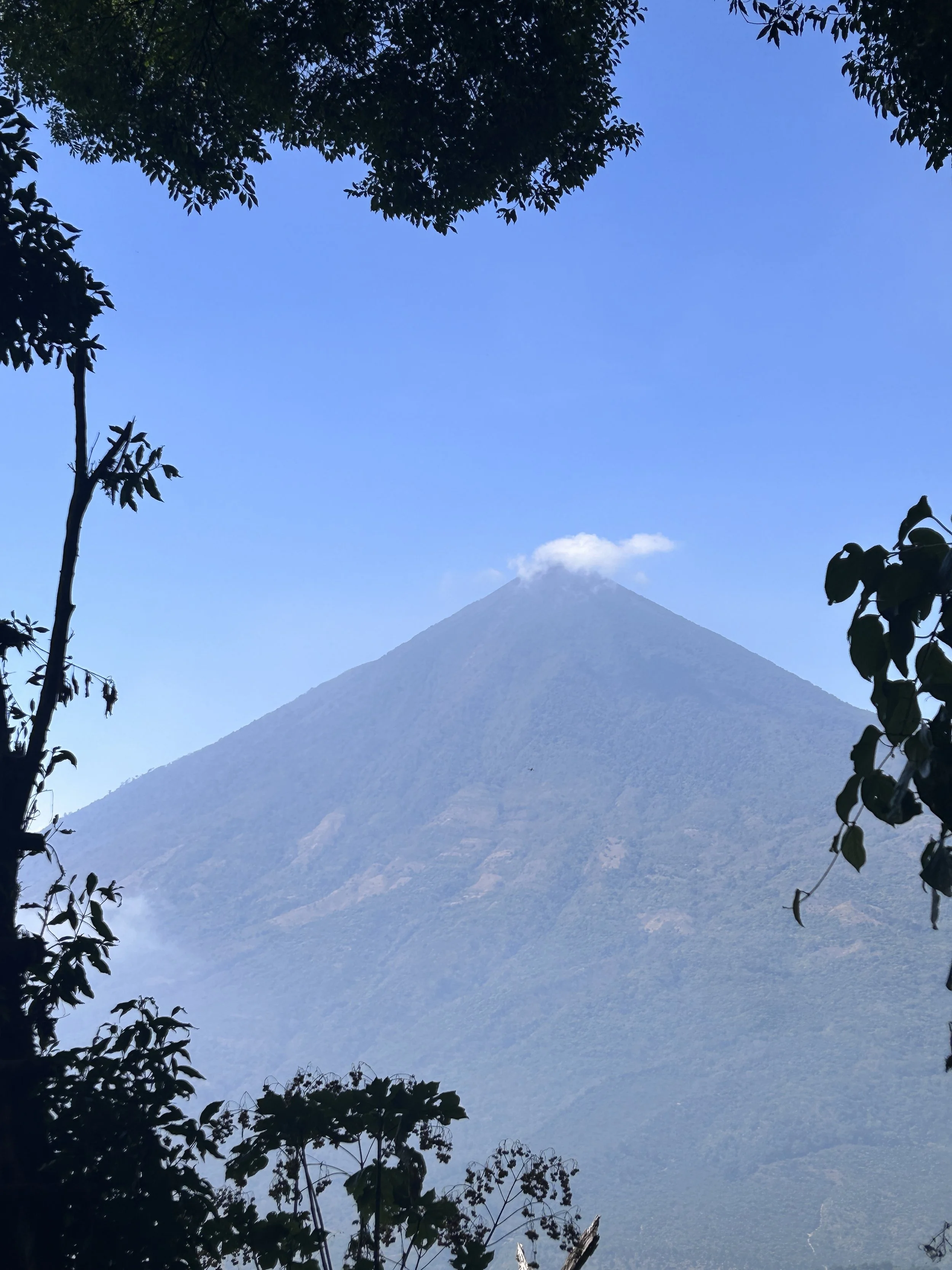 weaving and resilience in guatemala
