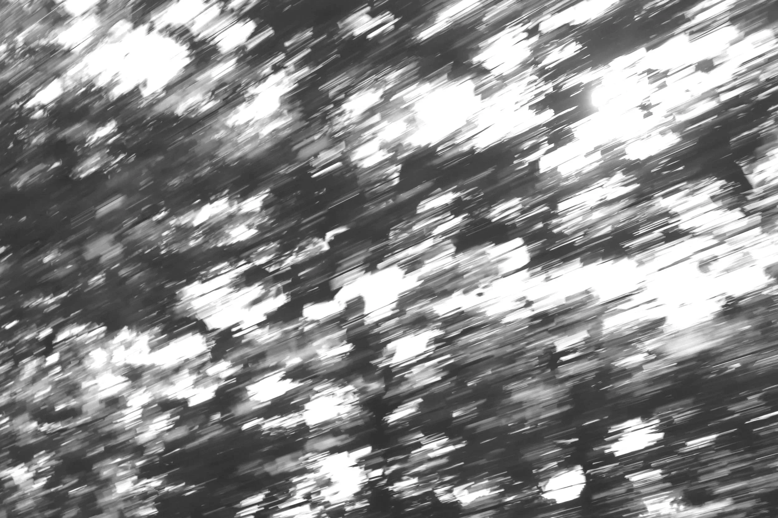 Black and white abstract photo of streaks and blotches, resembling an out-of-focus view of trees or foliage with sunlight filtering through.