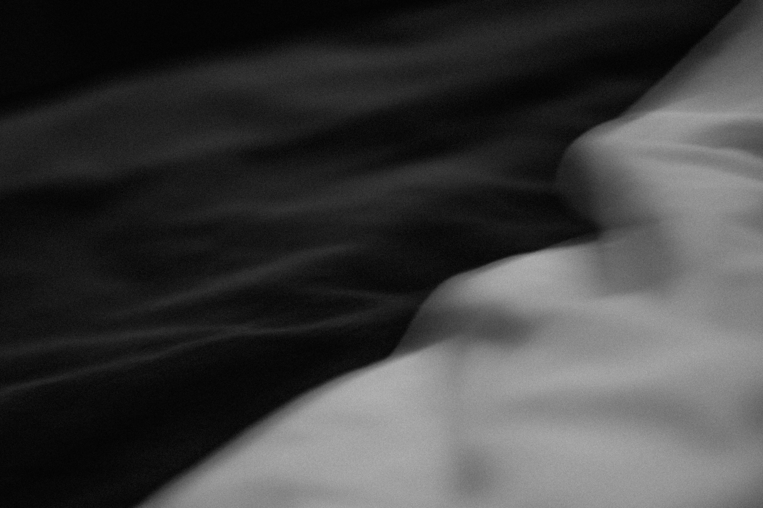 pexels-matreding-12489841.jpg