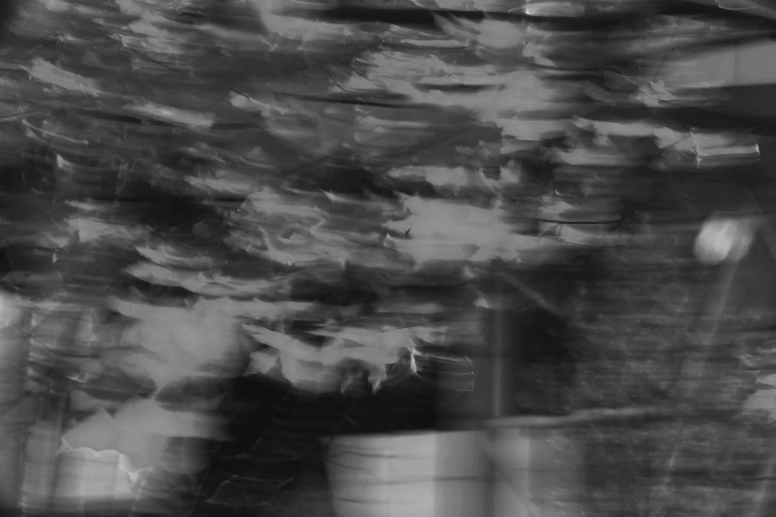 A black and white photo of a school of fish swimming together underwater. The fish are closely packed and moving in the same direction.