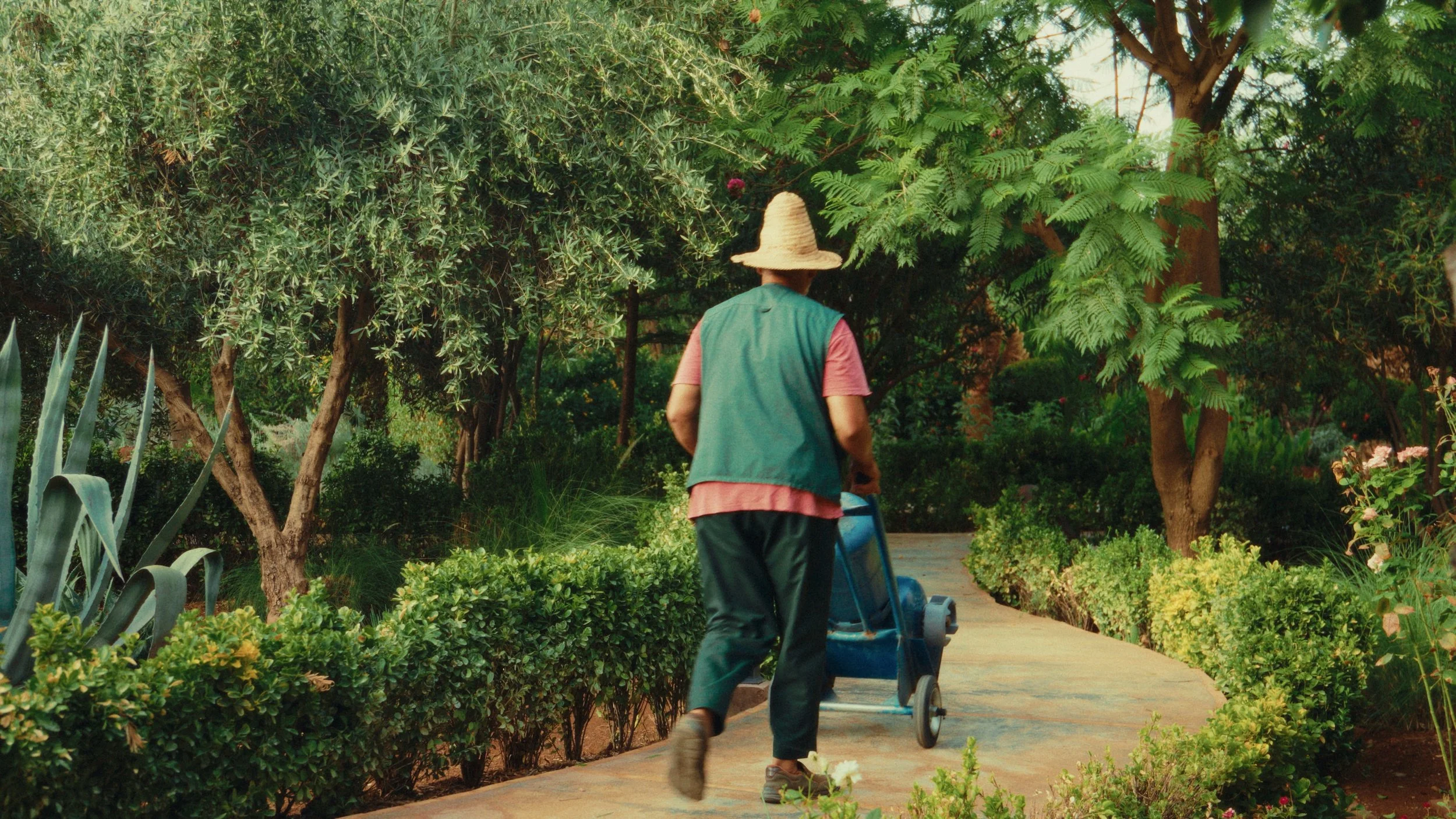 Still 2026-01-21 130053_1.36.1.jpg