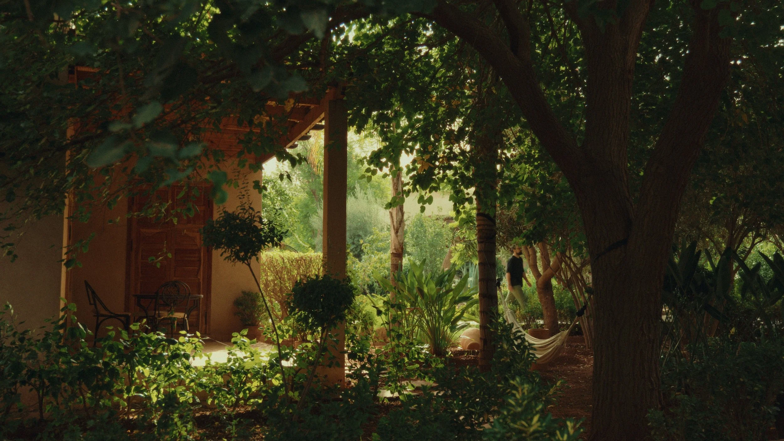 Still 2026-01-21 130105_1.145.2.jpg