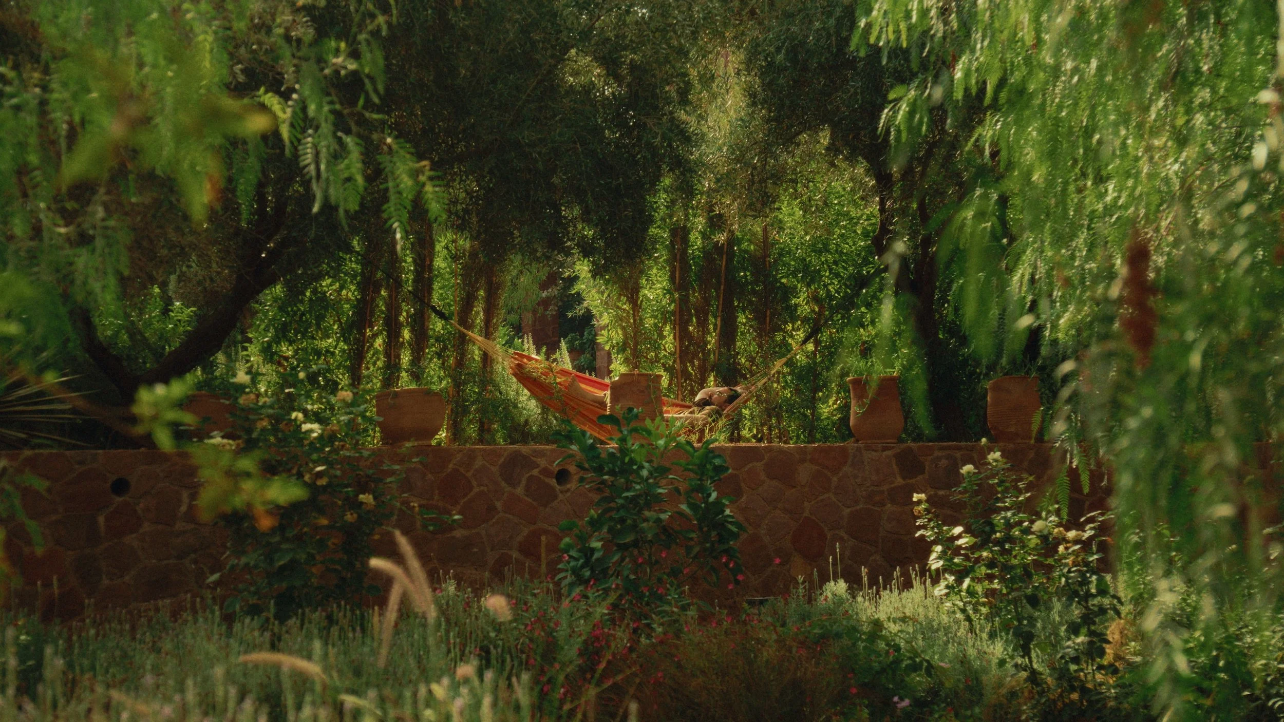 Still 2026-01-21 130105_6.1.3.jpg