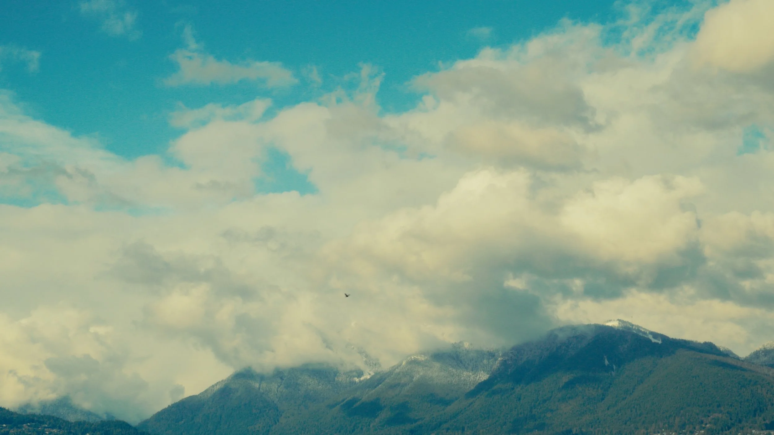 Still 2026-03-30 193224_1.73.1.jpg