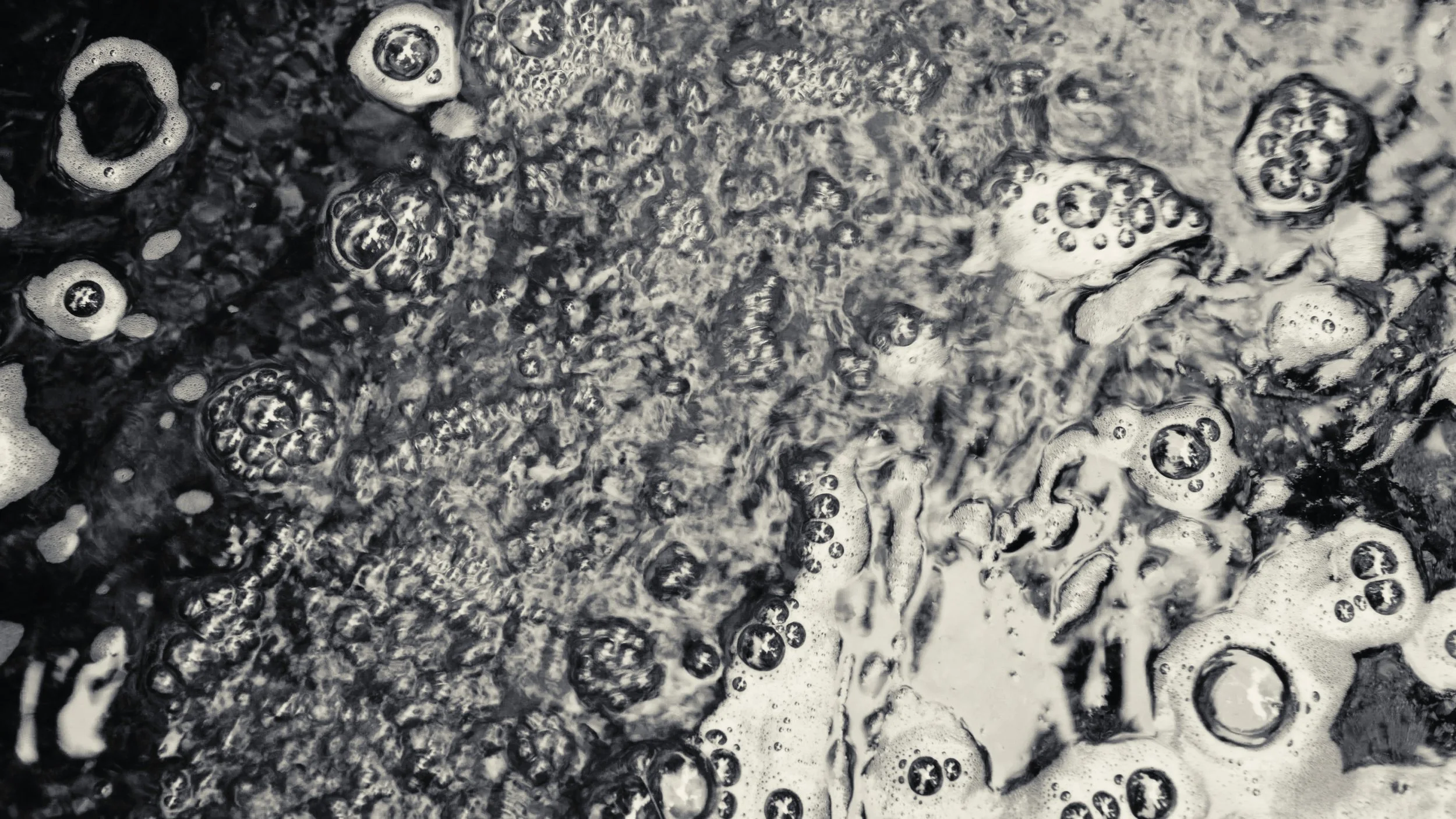 Still 2026-03-30 193224_1.49.1.jpg