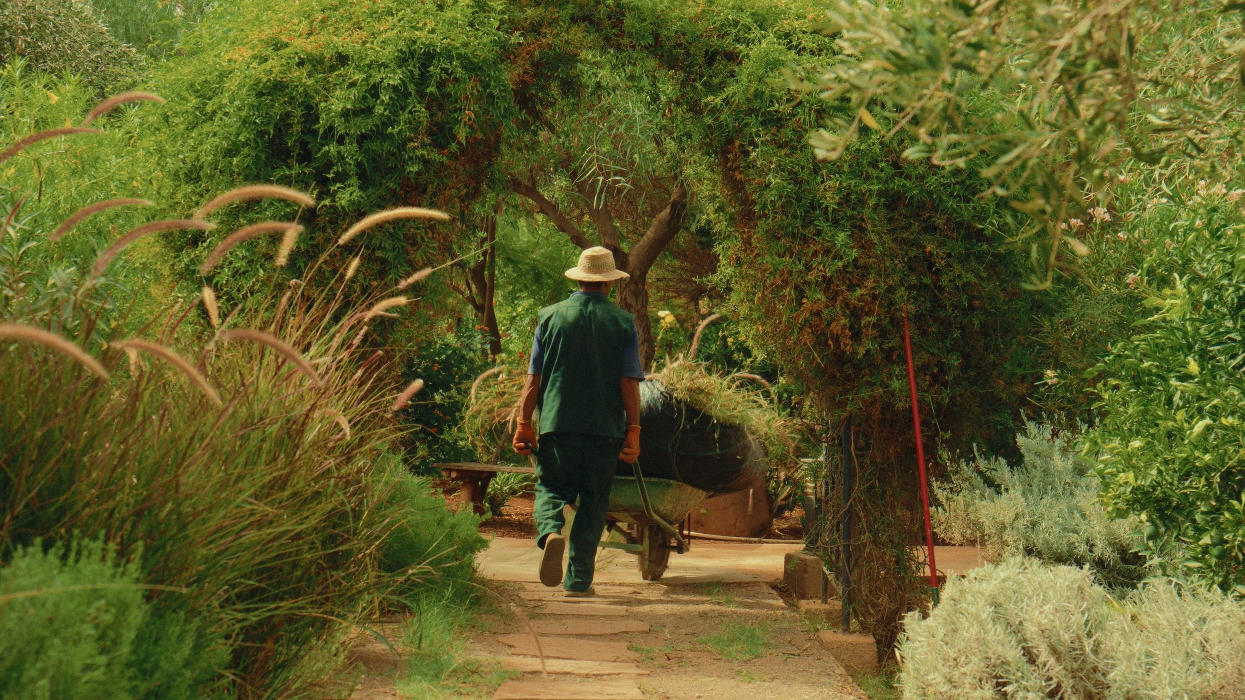 Still 2026-01-21 130105_1.107.1.jpg