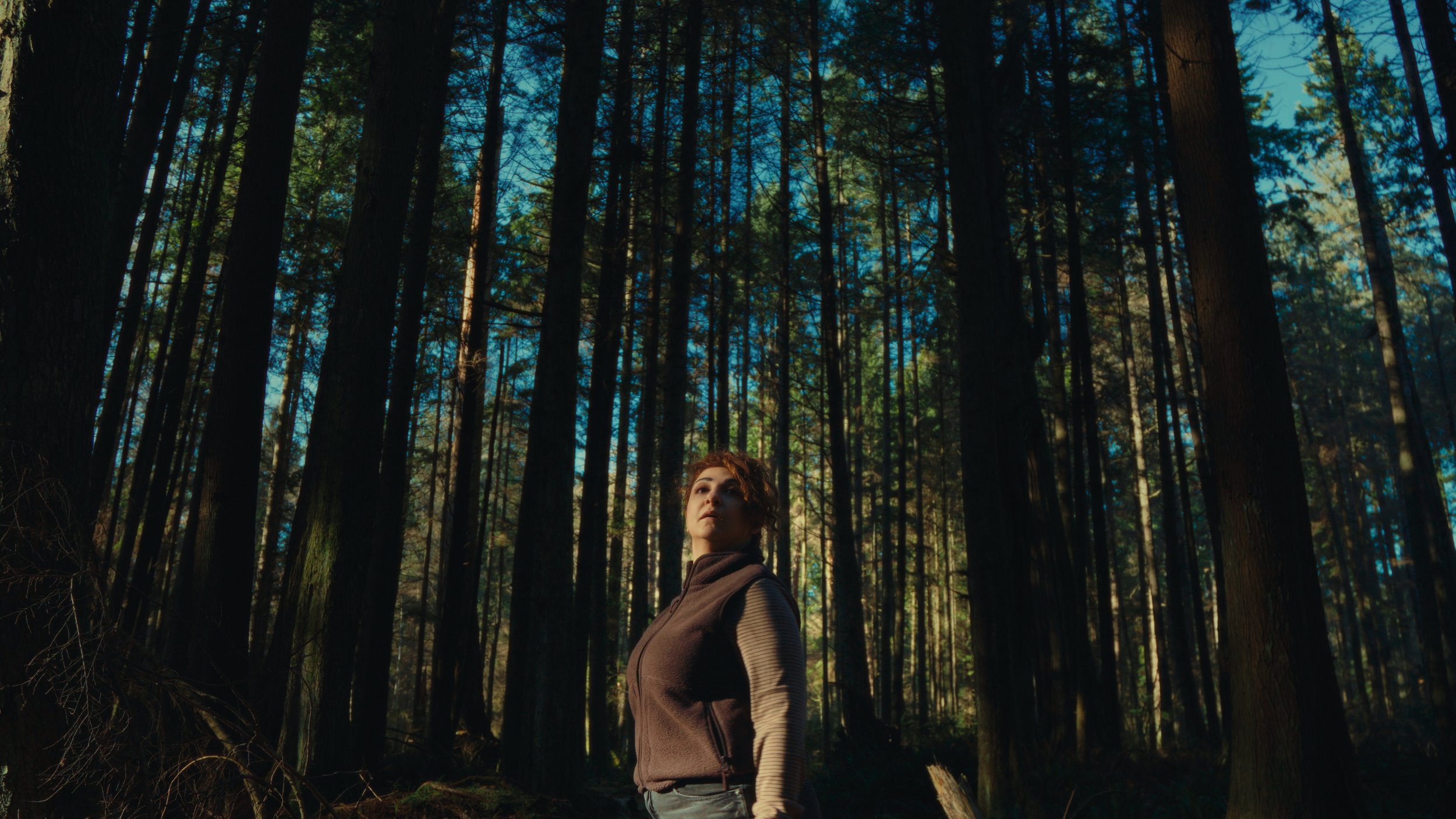 Still 2026-03-30 193224_1.50.1.jpg