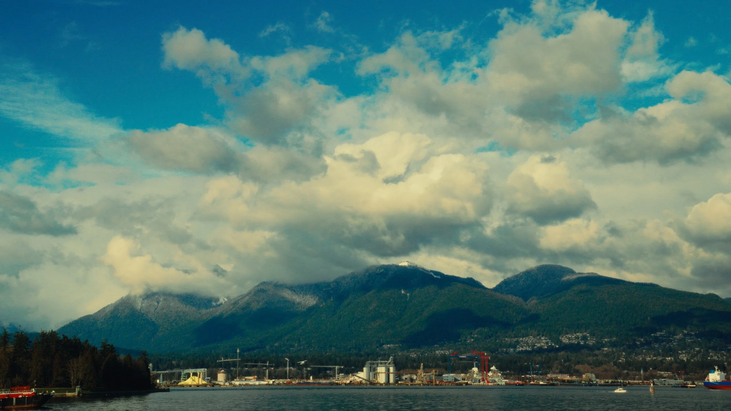 Still 2026-03-30 193224_1.75.1.jpg