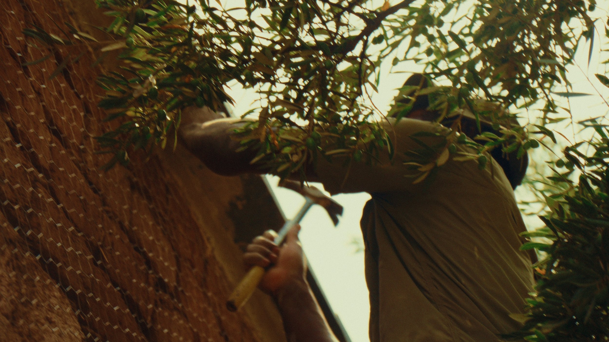 Still 2026-01-21 130105_4.26.1.jpg