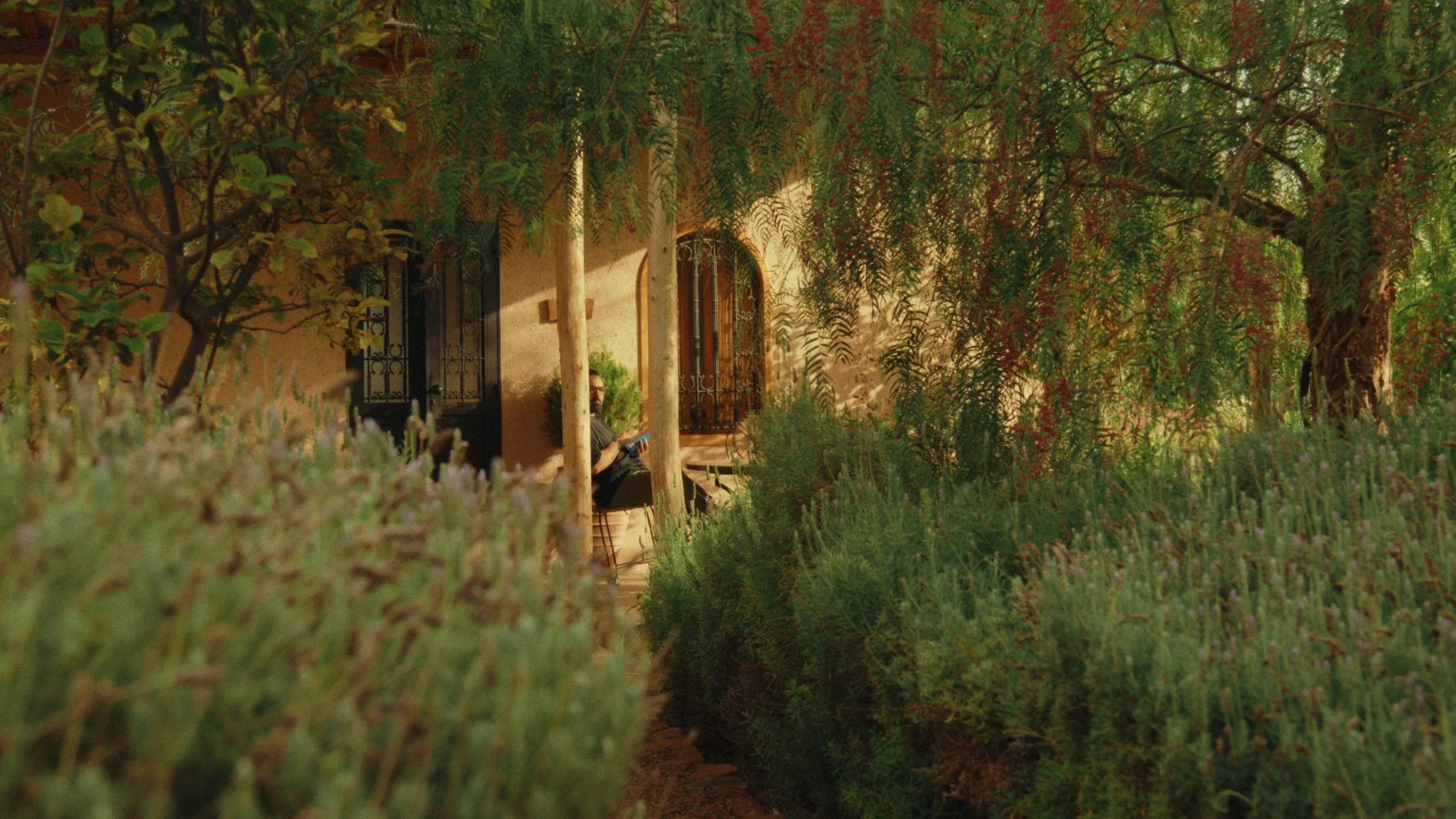 Still 2026-01-21 130105_1.109.2.jpg