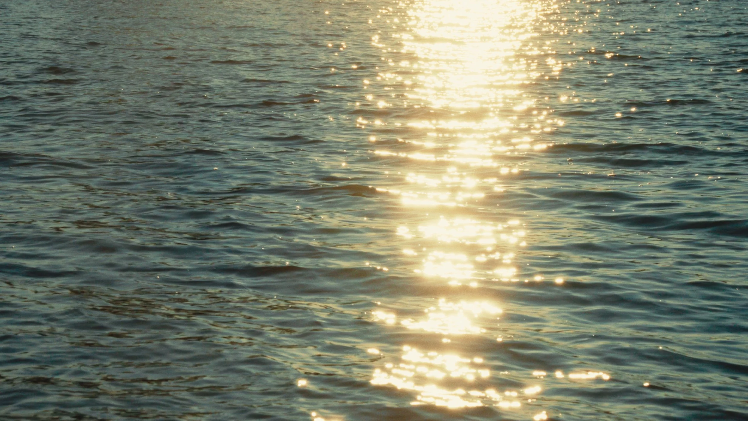 Still 2026-03-30 193224_1.2.1.jpg