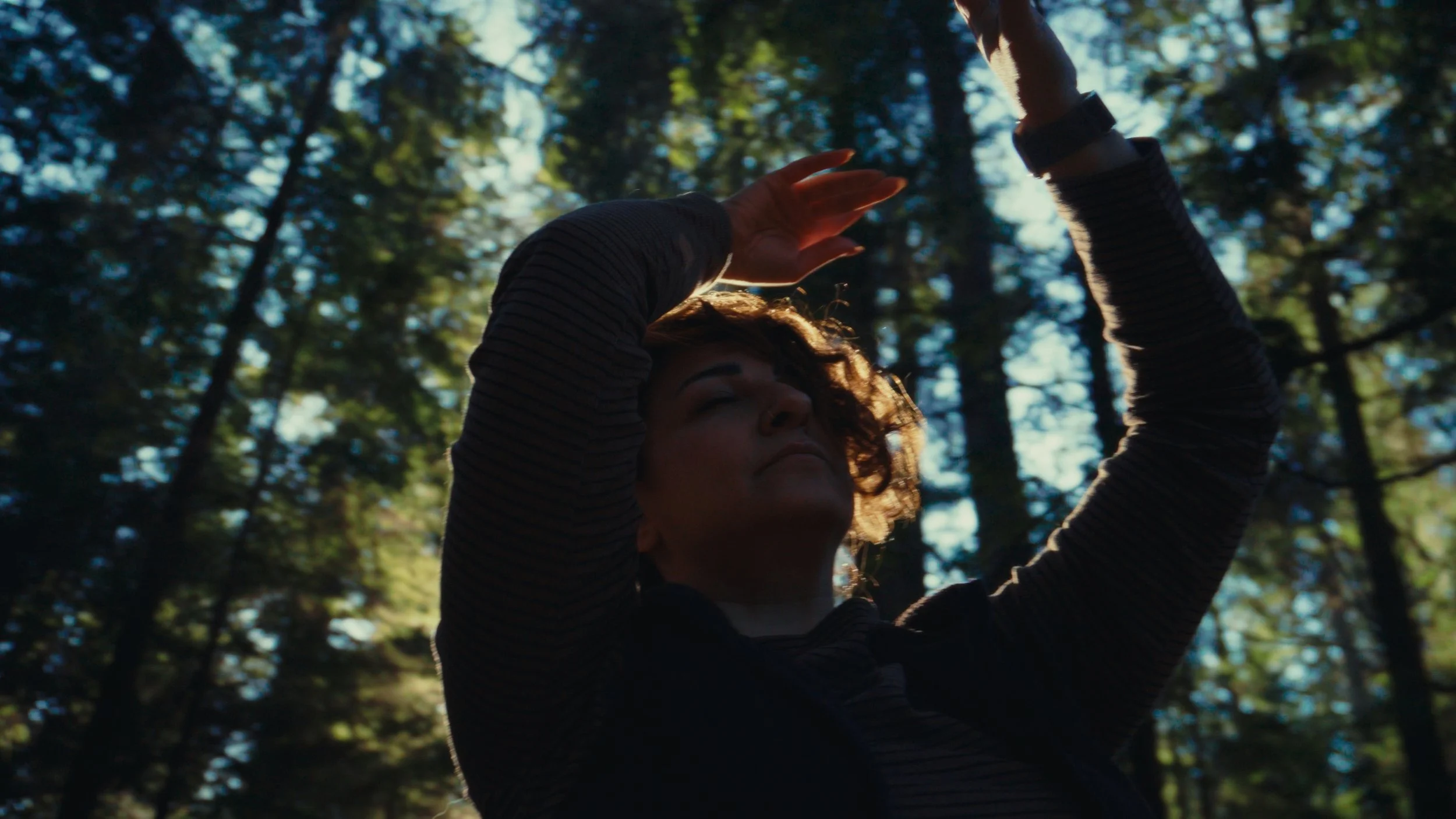 Still 2026-03-30 193224_1.58.1.jpg