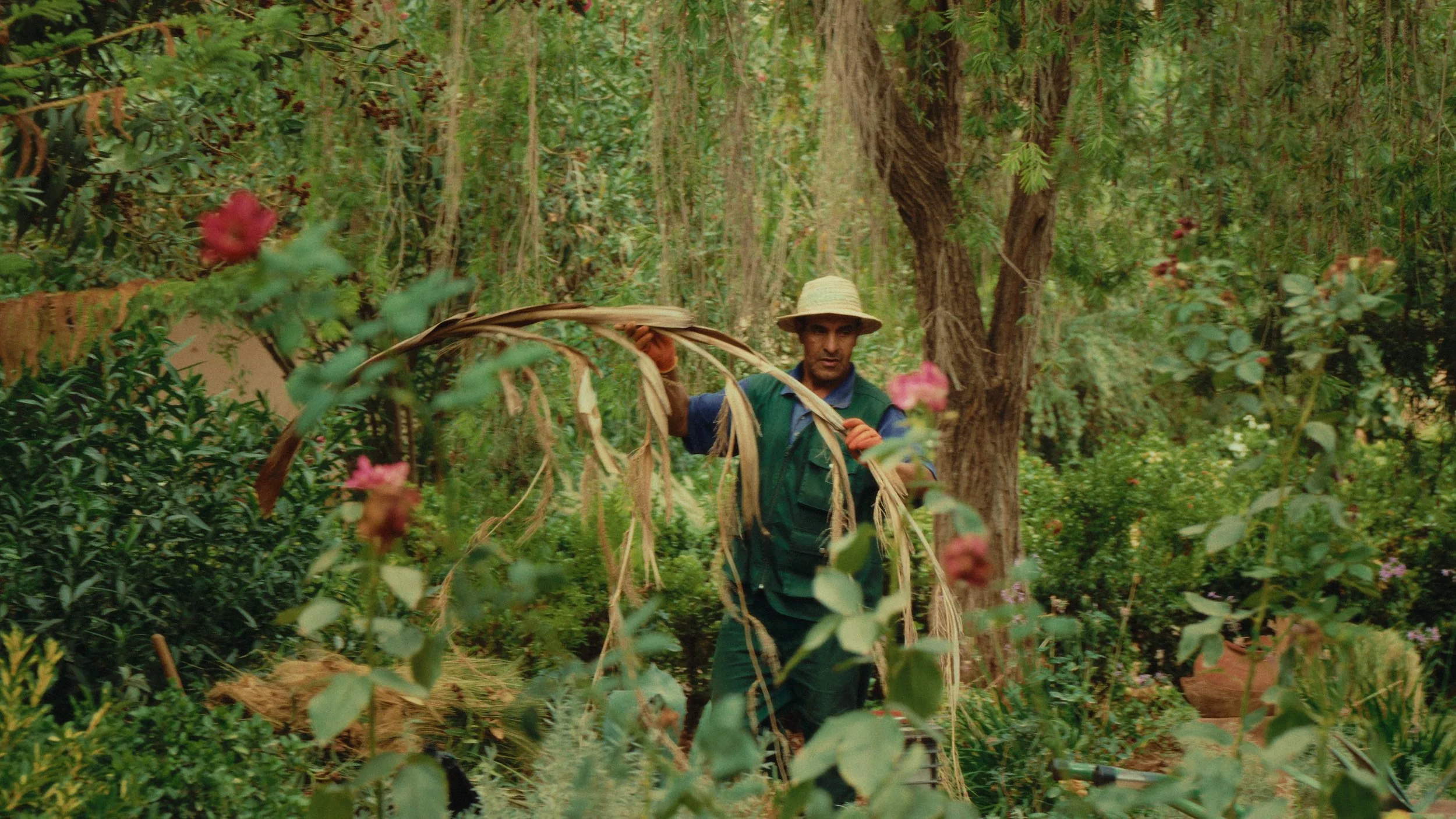 Still 2026-01-21 130042_1.27.1.jpg