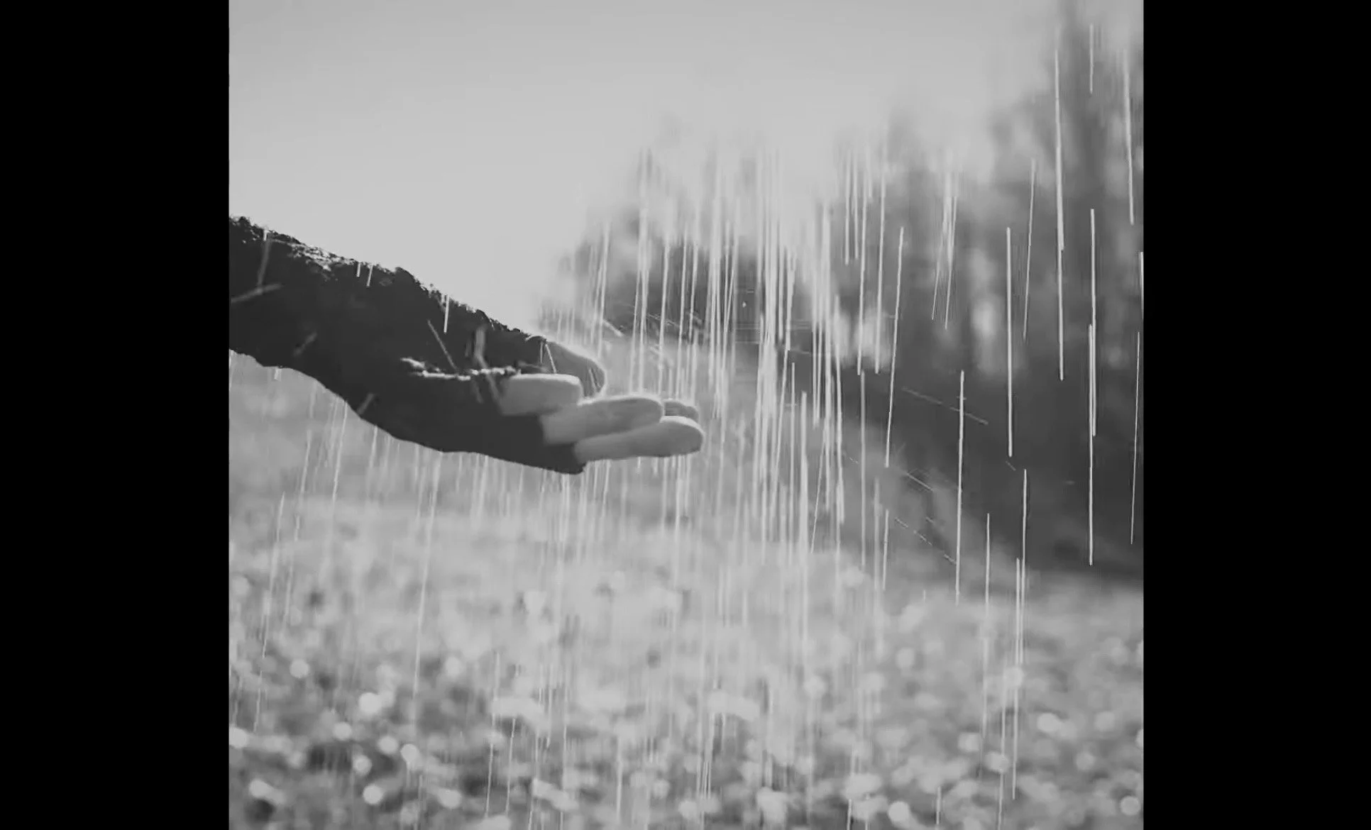 When The Rain Stopped