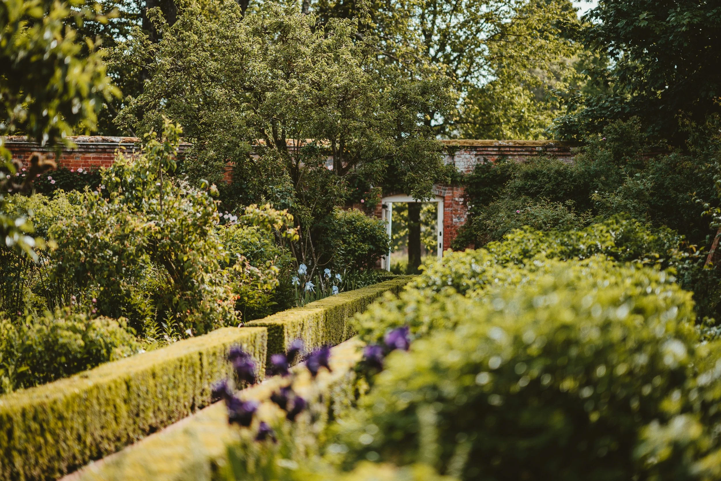 A lush garden with manicured bushes, flowering plants, and a stone pathway leading to a white door in a brick wall, surrounded by green trees and foliage.