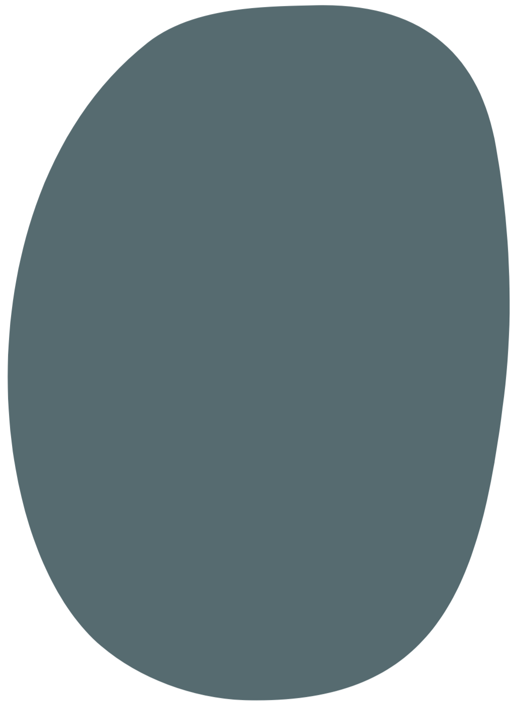 audit-and-organize-by-cat-professional-organizer-columbus-ohio-home-organizing